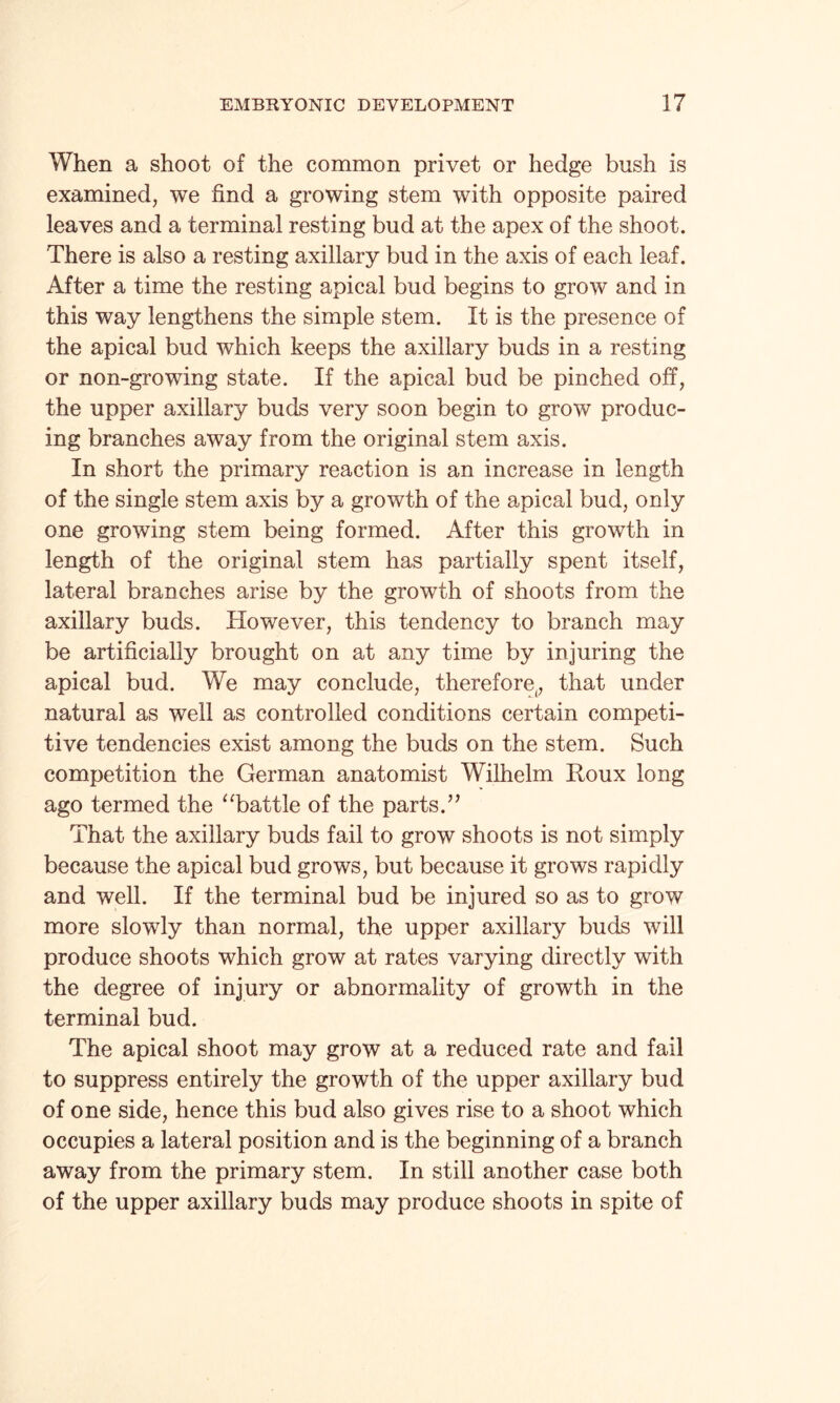 When a shoot of the common privet or hedge bush is examined, we find a growing stem with opposite paired leaves and a terminal resting bud at the apex of the shoot. There is also a resting axillary bud in the axis of each leaf. After a time the resting apical bud begins to grow and in this way lengthens the simple stem. It is the presence of the apical bud which keeps the axillary buds in a resting or non-growing state. If the apical bud be pinched off, the upper axillary buds very soon begin to grow produc¬ ing branches away from the original stem axis. In short the primary reaction is an increase in length of the single stem axis by a growth of the apical bud, only one growing stem being formed. After this growth in length of the original stem has partially spent itself, lateral branches arise by the growth of shoots from the axillary buds. However, this tendency to branch may be artificially brought on at any time by injuring the apical bud. We may conclude, therefore,, that under natural as well as controlled conditions certain competi¬ tive tendencies exist among the buds on the stem. Such competition the German anatomist Wilhelm Roux long ago termed the “battle of the parts.” That the axillary buds fail to grow shoots is not simply because the apical bud grows, but because it grows rapidly and well. If the terminal bud be injured so as to grow more slowly than normal, the upper axillary buds will produce shoots which grow at rates varying directly with the degree of injury or abnormality of growth in the terminal bud. The apical shoot may grow at a reduced rate and fail to suppress entirely the growth of the upper axillary bud of one side, hence this bud also gives rise to a shoot which occupies a lateral position and is the beginning of a branch away from the primary stem. In still another case both of the upper axillary buds may produce shoots in spite of