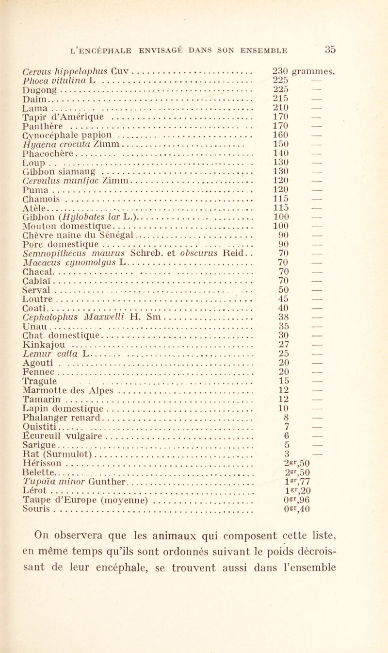 Cervus hippelaphus Cuv... 230 grammes. Phoca vitiilina L . 225 Dugong. 225 Daim. 215 Lama. 210 Tapir d’Amérique . 170 Panthère . 170 Cynocéphale papion . 160 Hijaena crocuta Zimm. 150 Phacochère. 140 Loup.*. 130 Gibbon siamang . 130 Cervulus mnntjac Zimm. 120 Puma. 120 — Chamois. 115 Atèle. 115 Gibbon (Hylobates lar L.). 100 Mouton domestique. 100 Chèvre naine du Sénégal. 90 Porc domestique. 90 Semnopithecus maurus Schreb. et obscnrus Reid.. 70 Macacus cynomolgus L. 70 Chacal. 70 — Cabiaï.. 70 —- Serval. 50 Loutre. 45 — Coati. 40 — Cephalophus Maxwelli H. Sm. 38 Unau. 35 — Chat domestique. 30 — Kinkajou . 27 Lemur catta L. 25 — Agouti . 20 Fennec. 20 — Tragule . 15 — Marmotte des Alpes... 12 Tamarin. 12 — Lapin domestique. 10 Phalanger renard. 8 — Ouistiti. 7 — Écureuil vulgaire. 6 Sarigue. 5 Rat (Surmulot). 3 Hérisson. 2sr,50 Belette. 2gr,50 Tupaïa minor Gunther. lgr,77 Lérot. lgr,20 Taupe d’Europe (moyenne). 0gr,96 Souris. 0gr,40 On observera que les animaux qui composent cette liste, en même temps qu’ils sont ordonnés suivant le poids décrois¬ sant de leur encéphale, se trouvent aussi dans l’ensemble