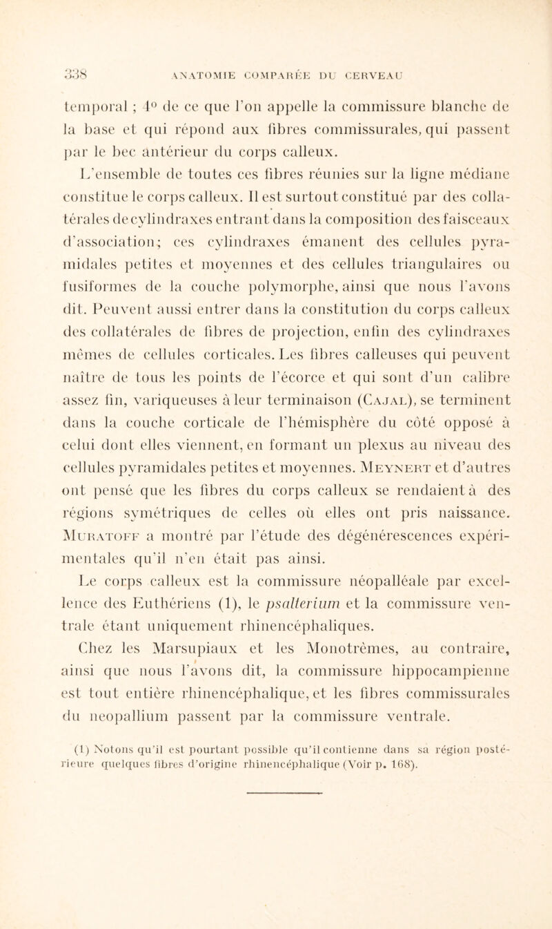 temporal ; 4° de ce que l’on appelle la commissure blanche de la base et qui répond aux libres commissurales, qui passent par le bec antérieur du corps calleux. L’ensemble de toutes ces libres réunies sur la ligne médiane constitue le corps calleux. Il est surtout constitué par des colla¬ térales decylindraxes entrant dans la composition des faisceaux d'association; ces cylindraxes émanent des cellules pyra¬ midales petites et moyennes et des cellules triangulaires ou fusiformes de la couche polymorphe, ainsi que nous l'avons dit. Peuvent aussi entrer dans la constitution du corps calleux des collatérales de libres de projection, enfin des cylindraxes mêmes de cellules corticales. Les fibres calleuses qui peuvent naître de tous les points de l’écorce et qui sont d’un calibre assez fin, variqueuses à leur terminaison (Cajal), se terminent dans la couche corticale de l’hémisphère du côté opposé à celui dont elles viennent, en formant un plexus au niveau des cellules pyramidales petites et moyennes. Meynert et d’autres ont pensé que les fibres du corps calleux se rendaient à des régions symétriques de celles où elles ont pris naissance. Muratoff a montré par l’étude des dégénérescences expéri¬ mentales qu'il n’en était pas ainsi. Le corps calleux est la commissure néopallôale par excel¬ lence des Luthériens (1), le psalterium et la commissure ven¬ trale étant uniquement rhinencéphaliques. Chez les Marsupiaux et les Monotrèmes, au contraire, ainsi que nous l’avons dit, la commissure hippocampienne est tout entière rhinencéphalique, et les fibres commissurales du néopallium passent par la commissure ventrale. (1) Notons qu’il est pourtant possible qu’il contienne dans sa région posté¬ rieure quelques fibres d’origine rhinencéphalique (Voir p. 168).