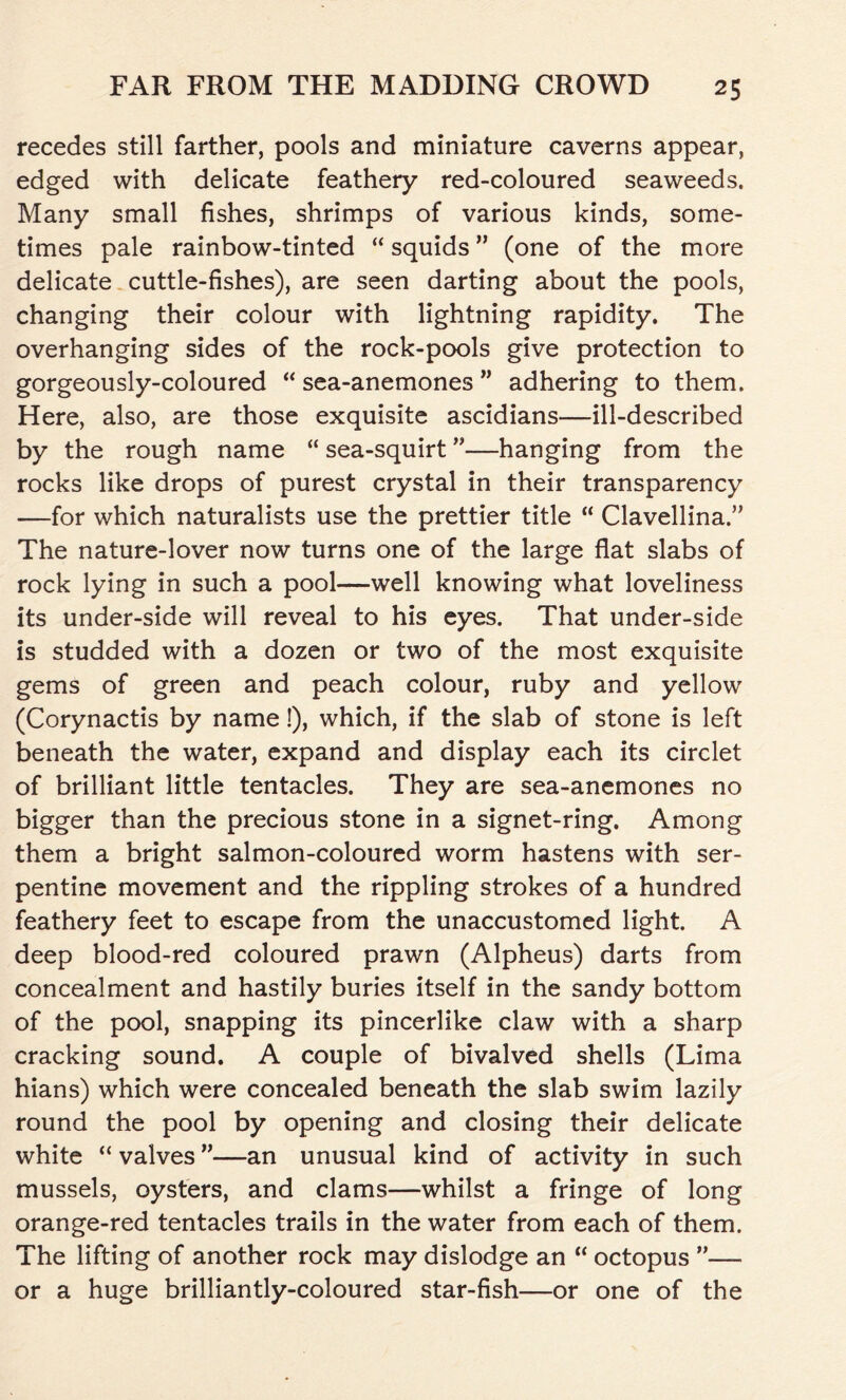 recedes still farther, pools and miniature caverns appear, edged with delicate feathery red-coloured seaweeds. Many small fishes, shrimps of various kinds, some- times pale rainbow-tinted “ squids ” (one of the more delicate cuttle-fishes), are seen darting about the pools, changing their colour with lightning rapidity. The overhanging sides of the rock-pools give protection to gorgeously-coloured “ sea-anemones ” adhering to them. Here, also, are those exquisite ascidians—ill-described by the rough name “ sea-squirt ”—hanging from the rocks like drops of purest crystal in their transparency —for which naturalists use the prettier title “ Clavellina.” The nature-lover now turns one of the large flat slabs of rock lying in such a pool—well knowing what loveliness its under-side will reveal to his eyes. That under-side is studded with a dozen or two of the most exquisite gems of green and peach colour, ruby and yellow (Corynactis by name!), which, if the slab of stone is left beneath the water, expand and display each its circlet of brilliant little tentacles. They are sea-anemones no bigger than the precious stone in a signet-ring. Among them a bright salmon-coloured worm hastens with ser- pentine movement and the rippling strokes of a hundred feathery feet to escape from the unaccustomed light. A deep blood-red coloured prawn (Alpheus) darts from concealment and hastily buries itself in the sandy bottom of the pool, snapping its pincerlike claw with a sharp cracking sound. A couple of bivalved shells (Lima hians) which were concealed beneath the slab swim lazily round the pool by opening and closing their delicate white “ valves ”—an unusual kind of activity in such mussels, oysters, and clams—whilst a fringe of long orange-red tentacles trails in the water from each of them. The lifting of another rock may dislodge an “ octopus ”— or a huge brilliantly-coloured star-fish—or one of the