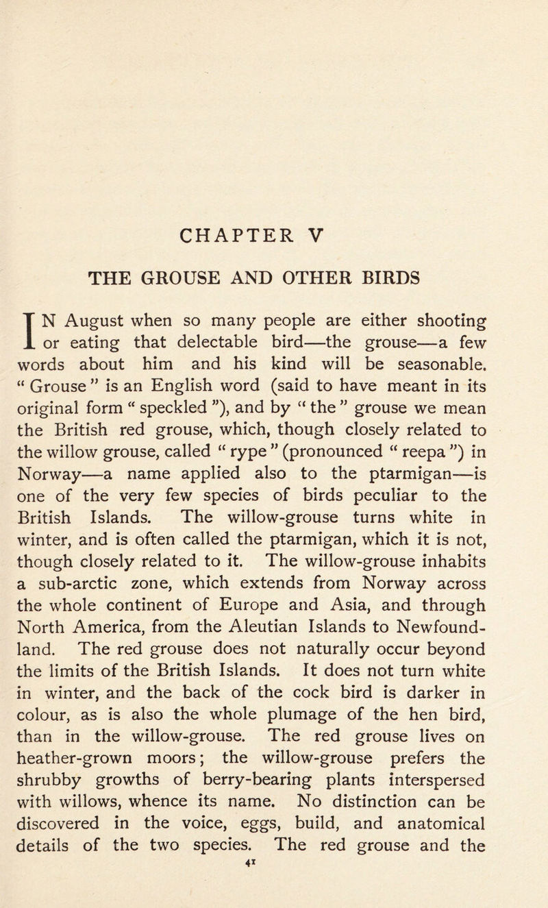 THE GROUSE AND OTHER BIRDS IN August when so many people are either shooting or eating that delectable bird—the grouse—a few words about him and his kind will be seasonable. “ Grouse ” is an English word (said to have meant in its original form “ speckled ”), and by “ the ” grouse we mean the British red grouse, which, though closely related to the willow grouse, called “ rype ” (pronounced “ reepa ”) in Norway—a name applied also to the ptarmigan—is one of the very few species of birds peculiar to the British Islands. The willow-grouse turns white in winter, and is often called the ptarmigan, which it is not, though closely related to it. The willow-grouse inhabits a sub-arctic zone, which extends from Norway across the whole continent of Europe and Asia, and through North America, from the Aleutian Islands to Newfound- land. The red grouse does not naturally occur beyond the limits of the British Islands. It does not turn white in winter, and the back of the cock bird is darker in colour, as is also the whole plumage of the hen bird, than in the willow-grouse. The red grouse lives on heather-grown moors; the willow-grouse prefers the shrubby growths of berry-bearing plants interspersed with willows, whence its name. No distinction can be discovered in the voice, eggs, build, and anatomical details of the two species. The red grouse and the