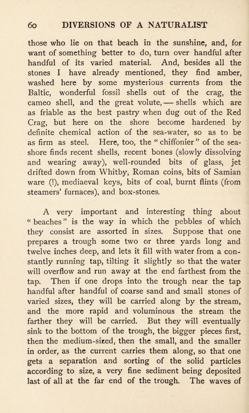 those who lie on that beach in the sunshine, and, for want of something better to do, turn over handful after handful of its varied material. And, besides all the stones I have already mentioned, they find amber, washed here by some mysterious currents from the Baltic, wonderful fossil shells out of the crag, the cameo shell, and the great volute, — shells which are as friable as the best pastry when dug out of the Red Crag, but here on the shore become hardened by definite chemical action of the sea-water, so as to be as firm as steel. Here, too, the “ chiffonier ” of the sea- shore finds recent shells, recent bones (slowly dissolving and wearing away), well-rounded bits of glass, jet drifted down from Whitby, Roman coins, bits of Samian ware (!), mediaeval keys, bits of coal, burnt flints (from steamers’ furnaces), and box-stones. A very important and interesting thing about “ beaches ” is the way in which the pebbles of which they consist are assorted in sizes. Suppose that one prepares a trough some two or three yards long and twelve inches deep, and lets it fill with water from a con- stantly running tap, tilting it slightly so that the water will overflow and run away at the end farthest from the tap. Then if one drops into the trough near the tap handful after handful of coarse sand and small stones of varied sizes, they will be carried along by the stream, and the more rapid and voluminous the stream the farther they will be carried. But they will eventually sink to the bottom of the trough, the bigger pieces first, then the medium-sized, then the small, and the smaller in order, as the current carries them along, so that one gets a separation and sorting of the solid particles according to size, a very fine sediment being deposited last of all at the far end of the trough. The waves of