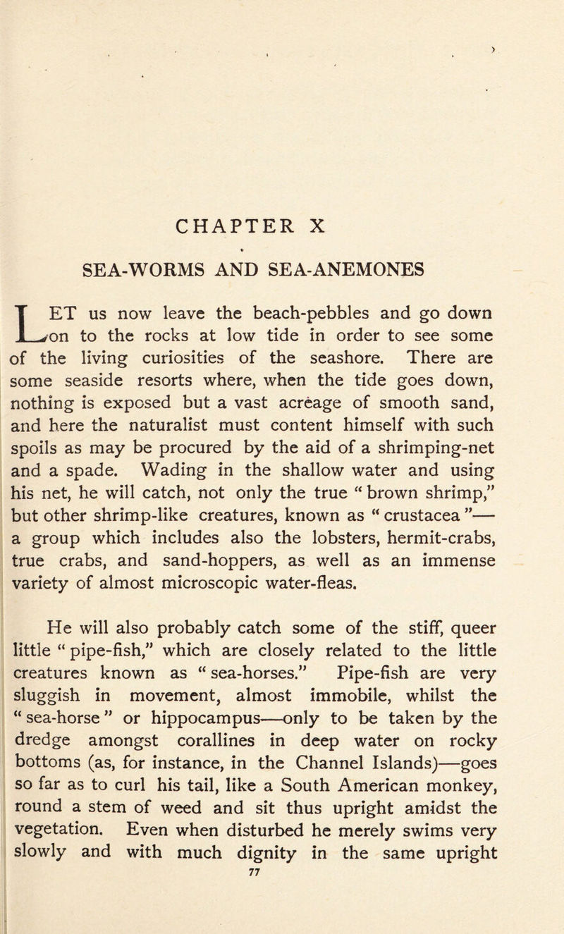 CHAPTER X SEA-WORMS AND SEA-ANEMONES ET us now leave the beach-pebbles and go down on to the rocks at low tide in order to see some of the living curiosities of the seashore. There are some seaside resorts where, when the tide goes down, nothing is exposed but a vast acreage of smooth sand, and here the naturalist must content himself with such spoils as may be procured by the aid of a shrimping-net and a spade. Wading in the shallow water and using his net, he will catch, not only the true “ brown shrimp,” but other shrimp-like creatures, known as “ Crustacea ”— a group which includes also the lobsters, hermit-crabs, true crabs, and sand-hoppers, as well as an immense variety of almost microscopic water-fleas. He will also probably catch some of the stiff, queer little “ pipe-fish,” which are closely related to the little creatures known as “ sea-horses.” Pipe-fish are very sluggish in movement, almost immobile, whilst the “ sea-horse ” or hippocampus—only to be taken by the dredge amongst corallines in deep water on rocky bottoms (as, for instance, in the Channel Islands)—goes so far as to curl his tail, like a South American monkey, round a stem of weed and sit thus upright amidst the vegetation. Even when disturbed he merely swims very slowly and with much dignity in the same upright