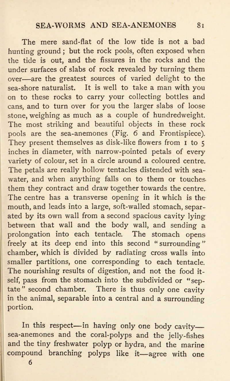 The mere sand-flat of the low tide is not a bad hunting ground; but the rock pools, often exposed when the tide is out, and the fissures in the rocks and the under surfaces of slabs of rock revealed by turning them over—are the greatest sources of varied delight to the sea-shore naturalist. It is well to take a man with you on to these rocks to carry your collecting bottles and cans, and to turn over for you the larger slabs of loose stone, weighing as much as a couple of hundredweight. The most striking and beautiful objects in these rock pools are the sea-anemones (Fig. 6 and Frontispiece). They present themselves as disk-like flowers from I to 5 inches in diameter, with narrow-pointed petals of every variety of colour, set in a circle around a coloured centre. The petals are really hollow tentacles distended with sea- water, and when anything falls on to them or touches them they contract and draw together towards the centre. The centre has a transverse opening in it which is the mouth, and leads into a large, soft-walled stomach, separ- ated by its own wall from a second spacious cavity lying between that wall and the body wall, and sending a prolongation into each tentacle. The stomach opens freely at its deep end into this second “ surrounding chamber, which is divided by radiating cross walls into smaller partitions, one corresponding to each tentacle. The nourishing results of digestion, and not the food it- self, pass from the stomach into the subdivided or “ sep- tate” second chamber. There is thus only one cavity in the animal, separable into a central and a surrounding portion. In this respect—in having only one body cavity— sea-anemones and the coral-polyps and the jelly-fishes and the tiny freshwater polyp or hydra, and the marine compound branching polyps like it—agree with one 6