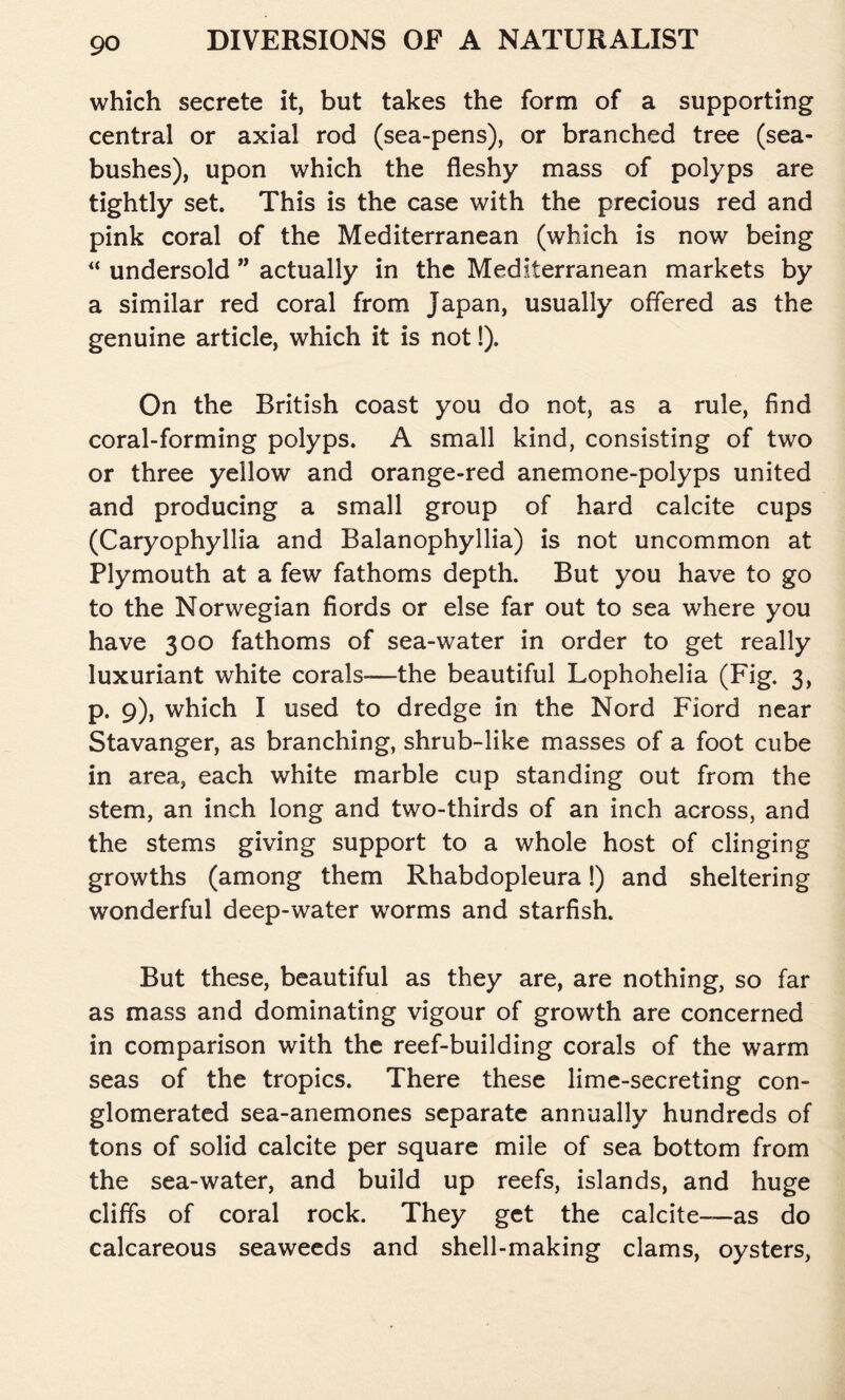 which secrete it, but takes the form of a supporting central or axial rod (sea-pens), or branched tree (sea- bushes), upon which the fleshy mass of polyps are tightly set. This is the case with the precious red and pink coral of the Mediterranean (which is now being “ undersold ” actually in the Mediterranean markets by a similar red coral from Japan, usually offered as the genuine article, which it is not!). On the British coast you do not, as a rule, find coral-forming polyps. A small kind, consisting of two or three yellow and orange-red anemone-polyps united and producing a small group of hard calcite cups (Caryophyllia and Balanophyllia) is not uncommon at Plymouth at a few fathoms depth. But you have to go to the Norwegian fiords or else far out to sea where you have 300 fathoms of sea-water in order to get really luxuriant white corals—the beautiful Lophohelia (Fig. 3, p. 9), which I used to dredge in the Nord Fiord near Stavanger, as branching, shrub-like masses of a foot cube in area, each white marble cup standing out from the stem, an inch long and two-thirds of an inch across, and the stems giving support to a whole host of clinging growths (among them Rhabdopleura!) and sheltering wonderful deep-water worms and starfish. But these, beautiful as they are, are nothing, so far as mass and dominating vigour of growth are concerned in comparison with the reef-building corals of the warm seas of the tropics. There these lime-secreting con- glomerated sea-anemones separate annually hundreds of tons of solid calcite per square mile of sea bottom from the sea-water, and build up reefs, islands, and huge cliffs of coral rock. They get the calcite—as do calcareous seaweeds and shell-making clams, oysters,