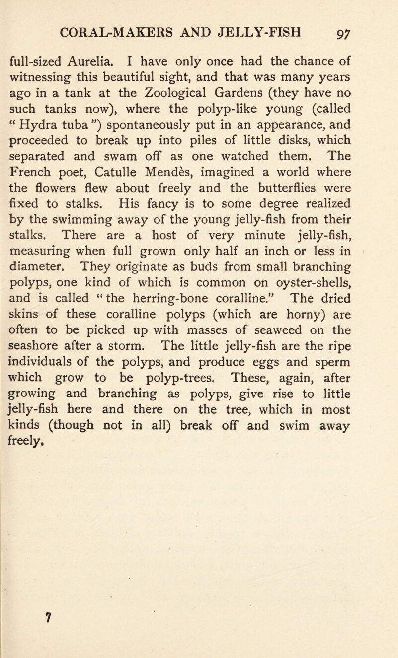 full-sized Aurelia. I have only once had the chance of witnessing this beautiful sight, and that was many years ago in a tank at the Zoological Gardens (they have no such tanks now), where the polyp-like young (called “ Hydra tuba ”) spontaneously put in an appearance, and proceeded to break up into piles of little disks, which separated and swam off as one watched them. The French poet, Catulle Mend&s, imagined a world where the flowers flew about freely and the butterflies were fixed to stalks. His fancy is to some degree realized by the swimming away of the young jelly-fish from their stalks. There are a host of very minute jelly-fish, measuring when full grown only half an inch or less in diameter. They originate as buds from small branching polyps, one kind of which is common on oyster-shells, and is called “ the herring-bone coralline.” The dried skins of these coralline polyps (which are horny) are often to be picked up with masses of seaweed on the seashore after a storm. The little jelly-fish are the ripe individuals of the polyps, and produce eggs and sperm which grow to be polyp-trees. These, again, after growing and branching as polyps, give rise to little jelly-fish here and there on the tree, which in most kinds (though not in all) break off and swim away freely. 7