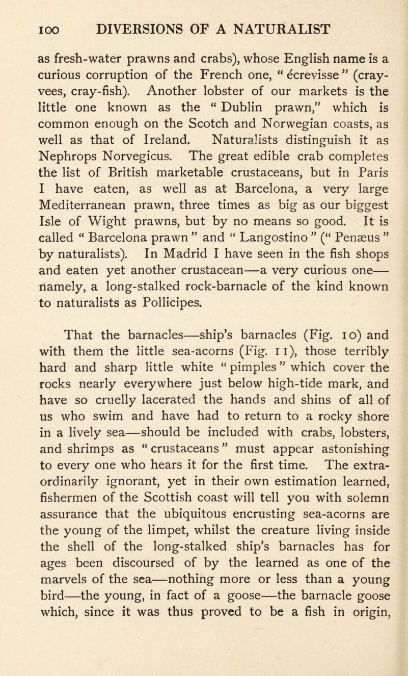 as fresh-water prawns and crabs), whose English name is a curious corruption of the French one, “ ^crevisse ” (cray- vees, cray-fish). Another lobster of our markets is the little one known as the “ Dublin prawn,” which is common enough on the Scotch and Norwegian coasts, as well as that of Ireland. Naturalists distinguish it as Nephrops Norvegicus. The great edible crab completes the list of British marketable crustaceans, but in Paris I have eaten, as well as at Barcelona, a very large Mediterranean prawn, three times as big as our biggest Isle of Wight prawns, but by no means so good. It is called “ Barcelona prawn ” and “ Langostino ” (“ Penaeus ” by naturalists). In Madrid I have seen in the fish shops and eaten yet another crustacean—a very curious one— namely, a long-stalked rock-barnacle of the kind known to naturalists as Pollicipes. That the barnacles—ship’s barnacles (Fig. io) and with them the little sea-acorns (Fig. 11), those terribly hard and sharp little white “ pimples ” which cover the rocks nearly everywhere just below high-tide mark, and have so cruelly lacerated the hands and shins of all of us who swim and have had to return to a rocky shore in a lively sea—should be included with crabs, lobsters, and shrimps as “ crustaceans ” must appear astonishing to every one who hears it for the first time. The extra- ordinarily ignorant, yet in their own estimation learned, fishermen of the Scottish coast will tell you with solemn assurance that the ubiquitous encrusting sea-acorns are the young of the limpet, whilst the creature living inside the shell of the long-stalked ship’s barnacles has for ages been discoursed of by the learned as one of the marvels of the sea—nothing more or less than a young bird—the young, in fact of a goose—the barnacle goose which, since it was thus proved to be a fish in origin,