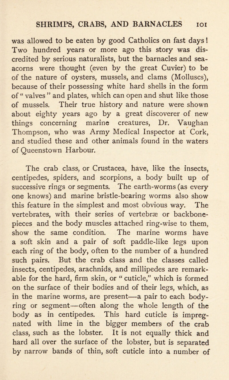 was allowed to be eaten by good Catholics on fast days! Two hundred years or more ago this story was dis- credited by serious naturalists, but the barnacles and sea- acorns were thought (even by the great Cuvier) to be of the nature of oysters, mussels, and clams (Molluscs), because of their possessing white hard shells in the form of “ valves ” and plates, which can open and shut like those of mussels. Their true history and nature were shown about eighty years ago by a great discoverer of new things concerning marine creatures, Dr. Vaughan Thompson, who was Army Medical Inspector at Cork, and studied these and other animals found in the waters of Queenstown Harbour. The crab class, or Crustacea, have, like the insects, centipedes, spiders, and scorpions, a body built up of successive rings or segments. The earth-worms (as every one knows) and marine bristle-bearing worms also show this feature in the simplest and most obvious way. The vertebrates, with their series of vertebrae or backbone- pieces and the body muscles attached ring-wise to them, show the same condition. The marine worms have a soft skin and a pair of soft paddle-like legs upon each ring of the body, often to the number of a hundred such pairs. But the crab class and the classes called insects, centipedes, arachnids, and millipedes are remark- able for the hard, firm skin, or “ cuticle,” which is formed on the surface of their bodies and of their legs, which, as in the marine worms, are present—a pair to each body- ring or segment—often along the whole length of the body as in centipedes. This hard cuticle is impreg- nated with lime in the bigger members of the crab class, such as the lobster. It is not equally thick and hard all over the surface of the lobster, but is separated by narrow bands of thin, soft cuticle into a number of