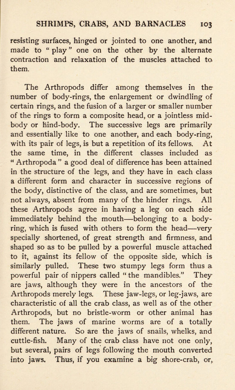 resisting surfaces, hinged or jointed to one another, and made to “ play ” one on the other by the alternate contraction and relaxation of the muscles attached to them. The Arthropods differ among themselves in the number of body-rings, the enlargement or dwindling of certain rings, and the fusion of a larger or smaller number of the rings to form a composite head, or a jointless mid- body or hind-body. The successive legs are primarily and essentially like to one another, and each body-ring, with its pair of legs, is but a repetition of its fellows. At the same time, in the different classes included as “ Arthropoda ” a good deal of difference has been attained in the structure of the legs, and they have in each class a different form and character in successive regions of the body, distinctive of the class, and are sometimes, but not always, absent from many of the hinder rings. All these Arthropods agree in having a leg on each side immediately behind the mouth—belonging to a body- ring, which is fused with others to form the head—very specially shortened, of great strength and firmness, and shaped so as to be pulled by a powerful muscle attached to it, against its fellow of the opposite side, which is similarly pulled. These two stumpy legs form thus a powerful pair of nippers called “ the mandibles.” They are jaws, although they were in the ancestors of the Arthropods merely legs. These jaw-legs, or leg-jaws, are characteristic of all the crab class, as well as of the other Arthropods, but no bristle-worm or other animal has them. The jaws of marine worms are of a totally different nature. So are the jaws of snails, whelks, and cuttle-fish. Many of the crab class have not one only, but several, pairs of legs following the mouth converted into jaws. Thus, if you examine a big shore-crab, or,