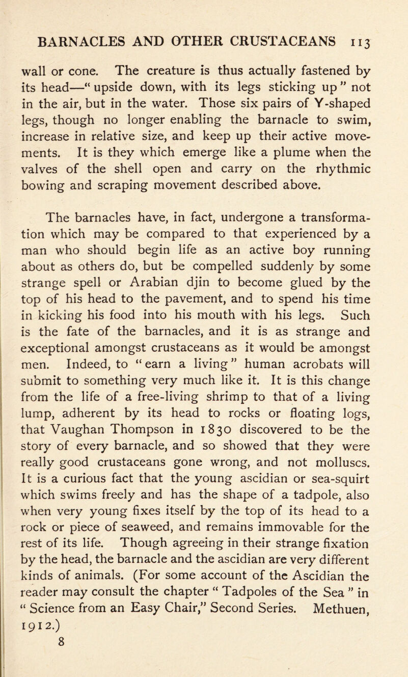 wall or cone. The creature is thus actually fastened by its head—“ upside down, with its legs sticking up ” not in the air, but in the water. Those six pairs of Y-shaped legs, though no longer enabling the barnacle to swim, increase in relative size, and keep up their active move- ments. It is they which emerge like a plume when the valves of the shell open and carry on the rhythmic bowing and scraping movement described above. The barnacles have, in fact, undergone a transforma- tion which may be compared to that experienced by a man who should begin life as an active boy running about as others do, but be compelled suddenly by some strange spell or Arabian djin to become glued by the top of his head to the pavement, and to spend his time in kicking his food into his mouth with his legs. Such is the fate of the barnacles, and it is as strange and exceptional amongst crustaceans as it would be amongst men. Indeed, to “ earn a living ” human acrobats will submit to something very much like it. It is this change from the life of a free-living shrimp to that of a living lump, adherent by its head to rocks or floating logs, that Vaughan Thompson in 1830 discovered to be the story of every barnacle, and so showed that they were really good crustaceans gone wrong, and not molluscs. It is a curious fact that the young ascidian or sea-squirt which swims freely and has the shape of a tadpole, also when very young fixes itself by the top of its head to a rock or piece of seaweed, and remains immovable for the rest of its life. Though agreeing in their strange fixation by the head, the barnacle and the ascidian are very different kinds of animals. (For some account of the Ascidian the reader may consult the chapter “ Tadpoles of the Sea ” in “ Science from an Easy Chair,” Second Series. Methuen, 1912.) 8