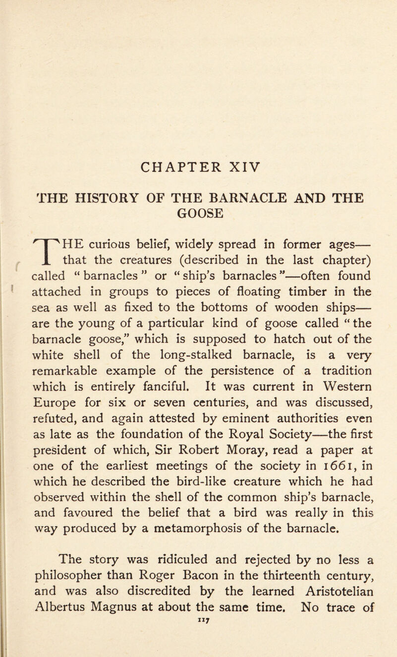 CHAPTER XIV THE HISTORY OF THE BARNACLE AND THE GOOSE HE curious belief, widely spread in former ages— JL that the creatures (described in the last chapter) called “ barnacles ” or “ ship’s barnacles ”—often found attached in groups to pieces of floating timber in the sea as well as fixed to the bottoms of wooden ships— are the young of a particular kind of goose called “ the barnacle goose,” which is supposed to hatch out of the white shell of the long-stalked barnacle, is a very remarkable example of the persistence of a tradition which is entirely fanciful. It was current in Western Europe for six or seven centuries, and was discussed, refuted, and again attested by eminent authorities even as late as the foundation of the Royal Society—the first president of which, Sir Robert Moray, read a paper at one of the earliest meetings of the society in 1661, in which he described the bird-like creature which he had observed within the shell of the common ship’s barnacle, and favoured the belief that a bird was really in this way produced by a metamorphosis of the barnacle. The story was ridiculed and rejected by no less a philosopher than Roger Bacon in the thirteenth century, and was also discredited by the learned Aristotelian Albertus Magnus at about the same time. No trace of