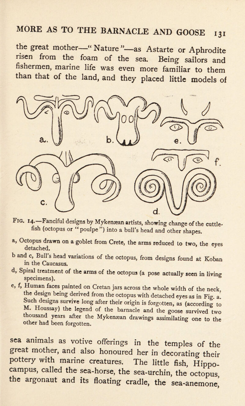 the great mother—“ Nature ”■—as Astarte or Aphrodite risen from the foam of the sea. Being sailors and fishermen, marine life was even more familiar to them than that of the land, and they placed little models of Fig. 14. Fanciful designs by Mykenaean artists, showing change of the cuttle- fish (octopus or “ poulpe ”) into a bull’s head and other shapes. a, Octopus drawn on a goblet from Crete, the arms reduced to two, the eves detached. b and c, Bull’s head variations of the octopus, from designs found at Koban in the Caucasus. d, Spiral treatment of the arms of the octopus (a pose actually seen in living specimens). e, f, Human faces painted on Cretan jars across the whole width of the neck, the design being derived from the octopus with detached eyes as in Fig. a. Such designs survive long after their origin is forgotten, as (according to M. Houssay) the legend of the barnacle and the goose survived two thousand years after the Mykenaean drawings assimilating one to the other had been forgotten. sea animals as votive offerings in the temples of the great mother, and also honoured her in decorating their pottery with marine creatures. The little fish, Hippo- campus, called the sea-horse, the sea-urchin, the octopus the argonaut and its floating cradle, the sea-anemone’