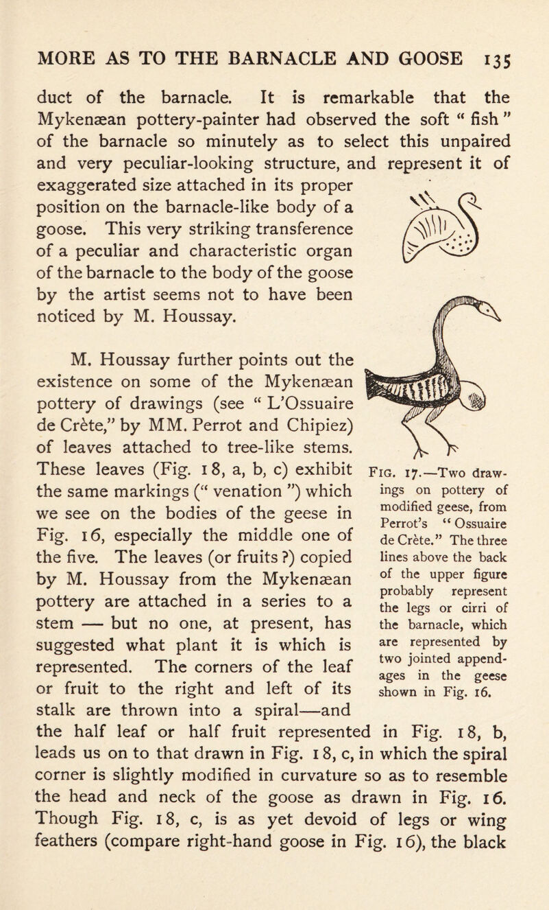 duct of the barnacle. It is remarkable that the Mykenaean pottery-painter had observed the soft “ fish ” of the barnacle so minutely as to select this unpaired and very peculiar-looking structure, and represent it of exaggerated size attached in its proper position on the barnacle-like body of a goose. This very striking transference of a peculiar and characteristic organ of the barnacle to the body of the goose by the artist seems not to have been noticed by M. Houssay. M. Houssay further points out the existence on some of the Mykenaean pottery of drawings (see “ L’Ossuaire de Crete,” by MM. Perrot and Chipiez) of leaves attached to tree-like stems. These leaves (Fig. 18, a, b, c) exhibit the same markings (“ venation ”) which we see on the bodies of the geese in Fig. 16, especially the middle one of the five. The leaves (or fruits ?) copied by M. Houssay from the Mykenaean pottery are attached in a series to a stem — but no one, at present, has suggested what plant it is which is represented. The corners of the leaf or fruit to the right and left of its stalk are thrown into a spiral—and the half leaf or half fruit represented in Fig. 18, b, leads us on to that drawn in Fig. 18, c, in which the spiral corner is slightly modified in curvature so as to resemble the head and neck of the goose as drawn in Fig. 16. Though Fig. 18, c, is as yet devoid of legs or wing feathers (compare right-hand goose in Fig. 16), the black Fig. 17.—Two draw- ings on pottery of modified geese, from Perrot’s “ Ossuaire de Crete.” The three lines above the back of the upper figure probably represent the legs or cirri of the barnacle, which are represented by two jointed append- ages in the geese shown in Fig. 16.