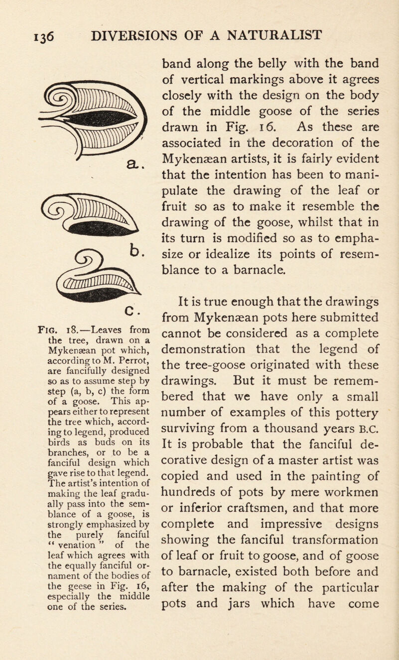 C. Fig. 18.—Leaves from the tree, drawn on a Mykensean pot which, according to M. Perrot, are fancifully designed so as to assume step by step (a, b, c) the form of a goose. This ap- pears either to represent the tree which, accord- ing to legend, produced birds as buds on its branches, or to be a fanciful design which gave rise to that legend. The artist’s intention of making the leaf gradu- ally pass into the sem- blance of a goose, is strongly emphasized by the purely fanciful “ venation ” of the leaf which agrees with the equally fanciful or- nament of the bodies of the geese in Fig. 16, especially the middle one of the series. band along the belly with the band of vertical markings above it agrees closely with the design on the body of the middle goose of the series drawn in Fig. 16. As these are associated in the decoration of the Mykenaean artists, it is fairly evident that the intention has been to mani- pulate the drawing of the leaf or fruit so as to make it resemble the drawing of the goose, whilst that in its turn is modified so as to empha- size or idealize its points of resem- blance to a barnacle. It is true enough that the drawings from Mykenaean pots here submitted cannot be considered as a complete demonstration that the legend of the tree-goose originated with these drawings. But it must be remem- bered that we have only a small number of examples of this pottery surviving from a thousand years B.C. It is probable that the fanciful de- corative design of a master artist was copied and used in the painting of hundreds of pots by mere workmen or inferior craftsmen, and that more complete and impressive designs showing the fanciful transformation of leaf or fruit to goose, and of goose to barnacle, existed both before and after the making of the particular pots and jars which have come