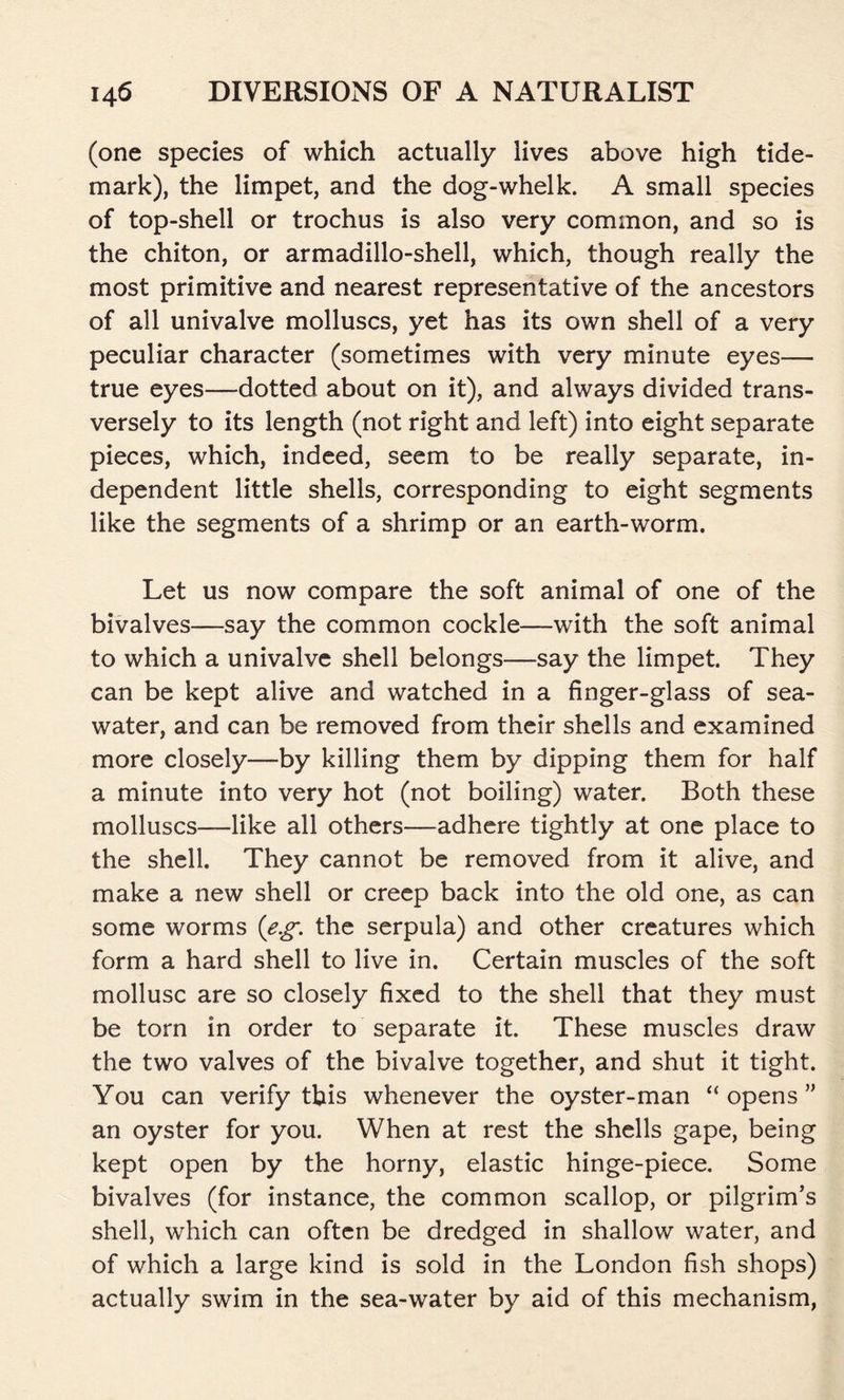 (one species of which actually lives above high tide- mark), the limpet, and the dog-whelk. A small species of top-shell or trochus is also very common, and so is the chiton, or armadillo-shell, which, though really the most primitive and nearest representative of the ancestors of all univalve molluscs, yet has its own shell of a very peculiar character (sometimes with very minute eyes— true eyes—dotted about on it), and always divided trans- versely to its length (not right and left) into eight separate pieces, which, indeed, seem to be really separate, in- dependent little shells, corresponding to eight segments like the segments of a shrimp or an earth-worm. Let us now compare the soft animal of one of the bivalves—say the common cockle—with the soft animal to which a univalve shell belongs—say the limpet. They can be kept alive and watched in a finger-glass of sea- water, and can be removed from their shells and examined more closely—by killing them by dipping them for half a minute into very hot (not boiling) water. Both these molluscs—like all others—adhere tightly at one place to the shell. They cannot be removed from it alive, and make a new shell or creep back into the old one, as can some worms (eg. the serpula) and other creatures which form a hard shell to live in. Certain muscles of the soft mollusc are so closely fixed to the shell that they must be torn in order to separate it. These muscles draw the two valves of the bivalve together, and shut it tight. You can verify this whenever the oyster-man “opens” an oyster for you. When at rest the shells gape, being kept open by the horny, elastic hinge-piece. Some bivalves (for instance, the common scallop, or pilgrim’s shell, which can often be dredged in shallow water, and of which a large kind is sold in the London fish shops) actually swim in the sea-water by aid of this mechanism,