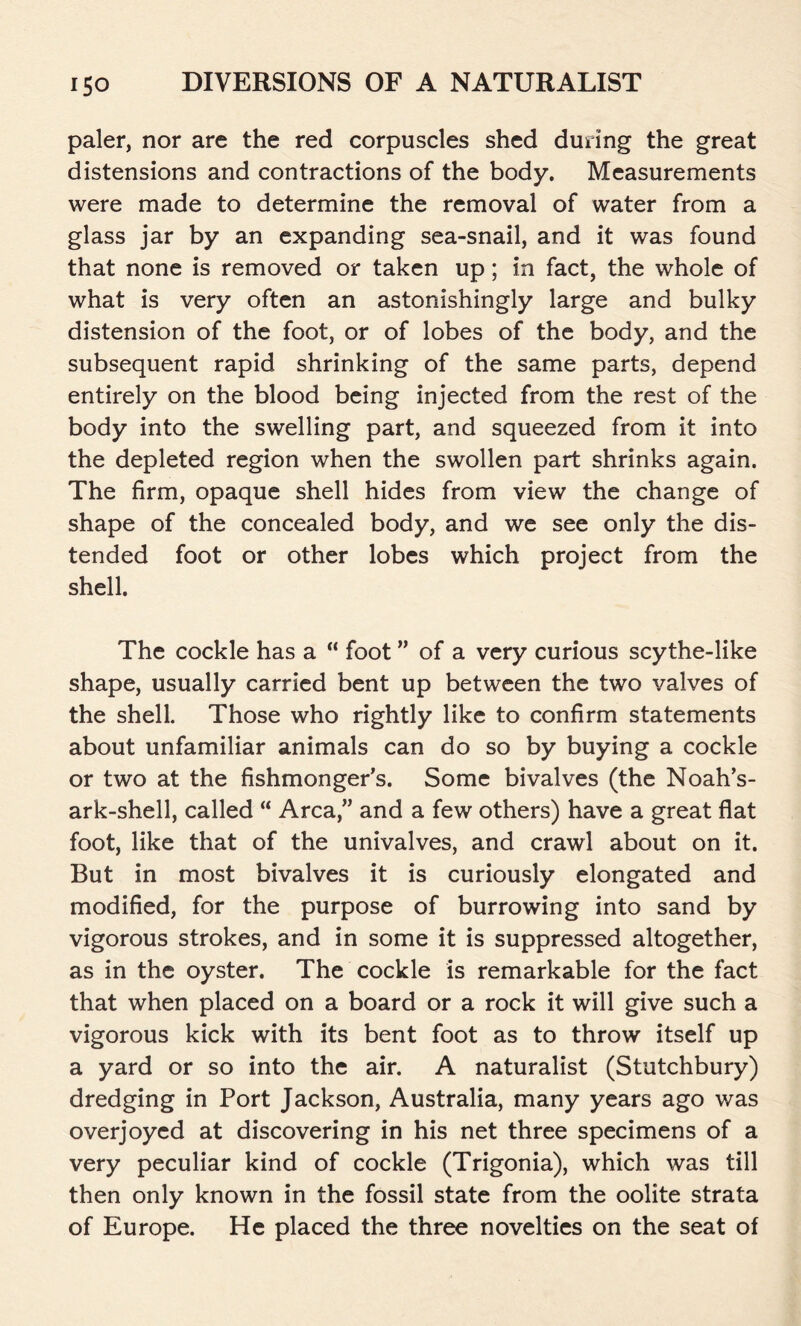 paler, nor are the red corpuscles shed during the great distensions and contractions of the body. Measurements were made to determine the removal of water from a glass jar by an expanding sea-snail, and it was found that none is removed or taken up; in fact, the whole of what is very often an astonishingly large and bulky distension of the foot, or of lobes of the body, and the subsequent rapid shrinking of the same parts, depend entirely on the blood being injected from the rest of the body into the swelling part, and squeezed from it into the depleted region when the swollen part shrinks again. The firm, opaque shell hides from view the change of shape of the concealed body, and we see only the dis- tended foot or other lobes which project from the shell. The cockle has a “ foot ” of a very curious scythe-like shape, usually carried bent up between the two valves of the shell. Those who rightly like to confirm statements about unfamiliar animals can do so by buying a cockle or two at the fishmonger’s. Some bivalves (the Noah’s- ark-shell, called “ Area,” and a few others) have a great flat foot, like that of the univalves, and crawl about on it. But in most bivalves it is curiously elongated and modified, for the purpose of burrowing into sand by vigorous strokes, and in some it is suppressed altogether, as in the oyster. The cockle is remarkable for the fact that when placed on a board or a rock it will give such a vigorous kick with its bent foot as to throw itself up a yard or so into the air. A naturalist (Stutchbury) dredging in Port Jackson, Australia, many years ago was overjoyed at discovering in his net three specimens of a very peculiar kind of cockle (Trigonia), which was till then only known in the fossil state from the oolite strata of Europe. He placed the three novelties on the seat of