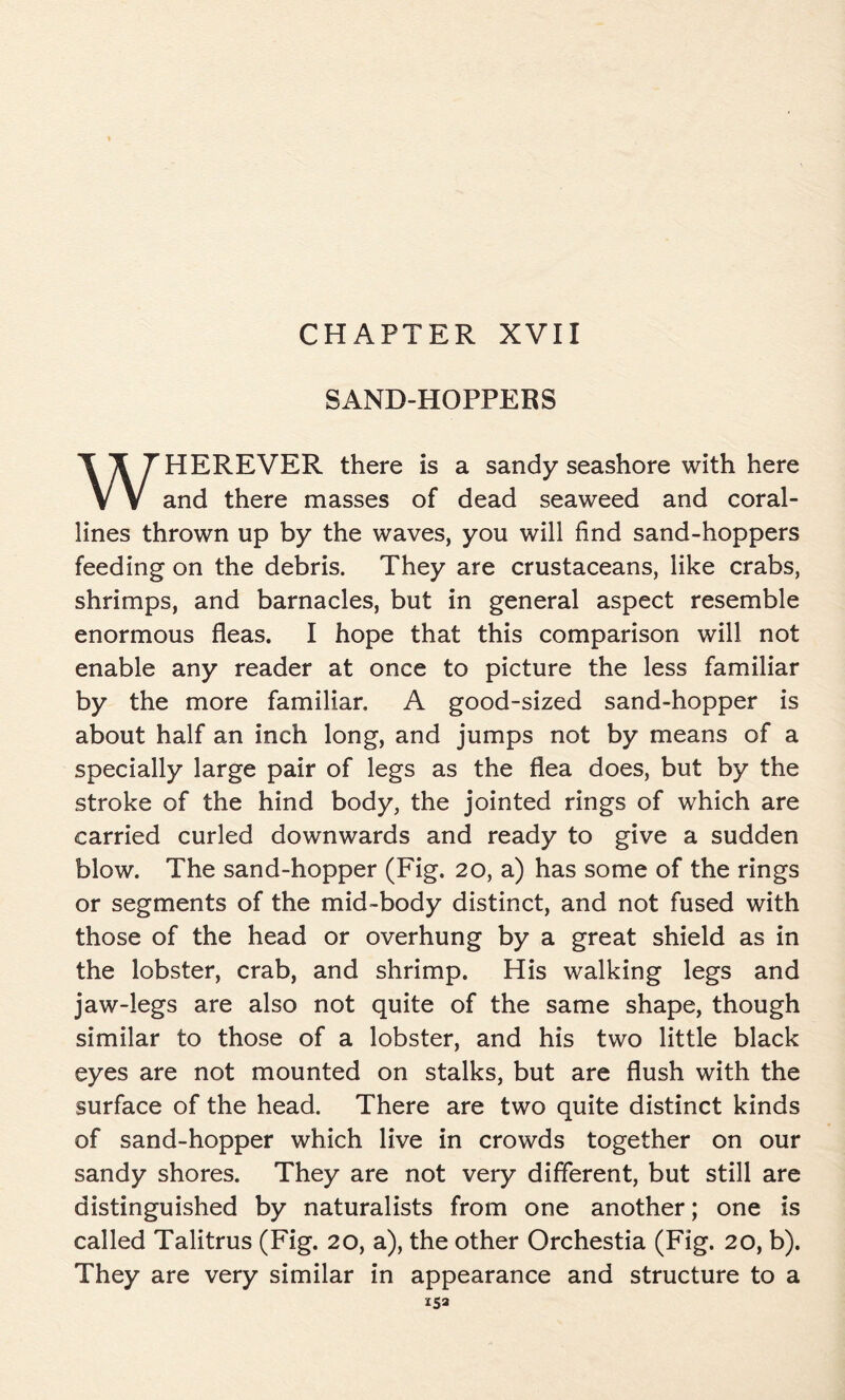 CHAPTER XVII SAND-HOPPERS HEREVER there is a sandy seashore with here and there masses of dead seaweed and coral- lines thrown up by the waves, you will find sand-hoppers feeding on the debris. They are crustaceans, like crabs, shrimps, and barnacles, but in general aspect resemble enormous fleas. I hope that this comparison will not enable any reader at once to picture the less familiar by the more familiar. A good-sized sand-hopper is about half an inch long, and jumps not by means of a specially large pair of legs as the flea does, but by the stroke of the hind body, the jointed rings of which are carried curled downwards and ready to give a sudden blow. The sand-hopper (Fig. 20, a) has some of the rings or segments of the mid-body distinct, and not fused with those of the head or overhung by a great shield as in the lobster, crab, and shrimp. His walking legs and jaw-legs are also not quite of the same shape, though similar to those of a lobster, and his two little black eyes are not mounted on stalks, but are flush with the surface of the head. There are two quite distinct kinds of sand-hopper which live in crowds together on our sandy shores. They are not very different, but still are distinguished by naturalists from one another; one is called Talitrus (Fig. 20, a), the other Orchestia (Fig. 20, b). They are very similar in appearance and structure to a