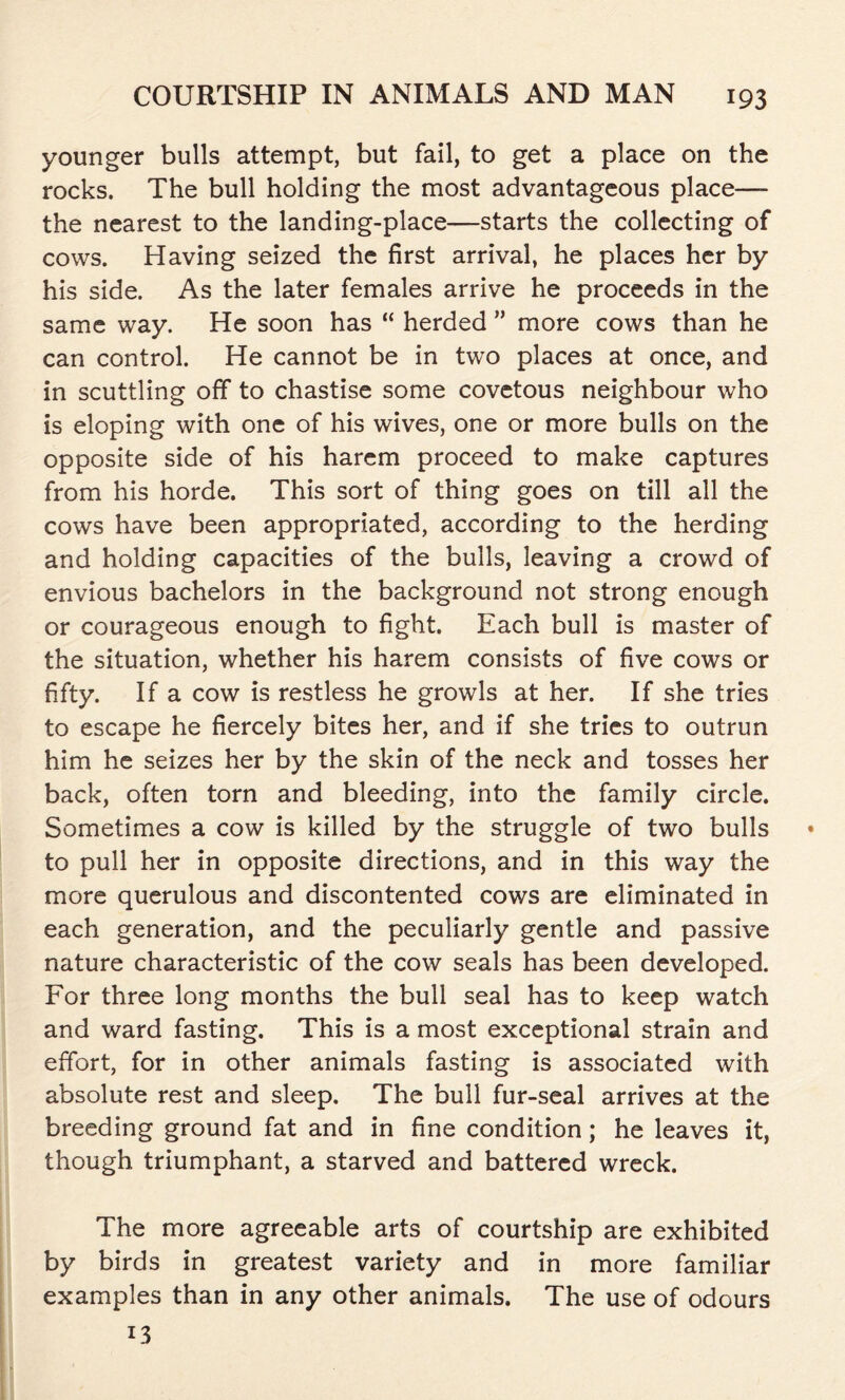 younger bulls attempt, but fail, to get a place on the rocks. The bull holding the most advantageous place— the nearest to the landing-place—starts the collecting of cows. Having seized the first arrival, he places her by his side. As the later females arrive he proceeds in the same way. He soon has “ herded ” more cows than he can control. He cannot be in two places at once, and in scuttling off to chastise some covetous neighbour who is eloping with one of his wives, one or more bulls on the opposite side of his harem proceed to make captures from his horde. This sort of thing goes on till all the cows have been appropriated, according to the herding and holding capacities of the bulls, leaving a crowd of envious bachelors in the background not strong enough or courageous enough to fight. Each bull is master of the situation, whether his harem consists of five cows or fifty. If a cow is restless he growls at her. If she tries to escape he fiercely bites her, and if she tries to outrun him he seizes her by the skin of the neck and tosses her back, often torn and bleeding, into the family circle. Sometimes a cow is killed by the struggle of two bulls to pull her in opposite directions, and in this way the more querulous and discontented cows are eliminated in each generation, and the peculiarly gentle and passive nature characteristic of the cow seals has been developed. For three long months the bull seal has to keep watch and ward fasting. This is a most exceptional strain and effort, for in other animals fasting is associated with absolute rest and sleep. The bull fur-seal arrives at the breeding ground fat and in fine condition; he leaves it, though triumphant, a starved and battered wreck. The more agreeable arts of courtship are exhibited by birds in greatest variety and in more familiar examples than in any other animals. The use of odours 13