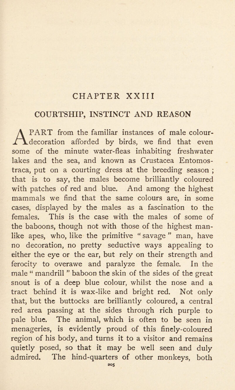 CHAPTER XXIII COURTSHIP, INSTINCT AND REASON APART from the familiar instances of male colour- decoration afforded by birds, we find that even some of the minute water-fleas inhabiting freshwater lakes and the sea, and known as Crustacea Entomos- traca, put on a courting dress at the breeding season ; that is to say, the males become brilliantly coloured with patches of red and blue. And among the highest mammals we find that the same colours are, in some cases, displayed by the males as a fascination to the females. This is the case with the males of some of the baboons, though not with those of the highest man- like apes, who, like the primitive “ savage ” man, have no decoration, no pretty seductive ways appealing to either the eye or the ear, but rely on their strength and ferocity to overawe and paralyze the female. In the male “ mandrill ” baboon the skin of the sides of the great snout is of a deep blue colour, whilst the nose and a tract behind it is wax-like and bright red. Not only that, but the buttocks are brilliantly coloured, a central red area passing at the sides through rich purple to pale blue. The animal, which is often to be seen in menageries, is evidently proud of this finely-coloured region of his body, and turns it to a visitor and remains quietly posed, so that it may be well seen and duly admired. The hind-quarters of other monkeys, both