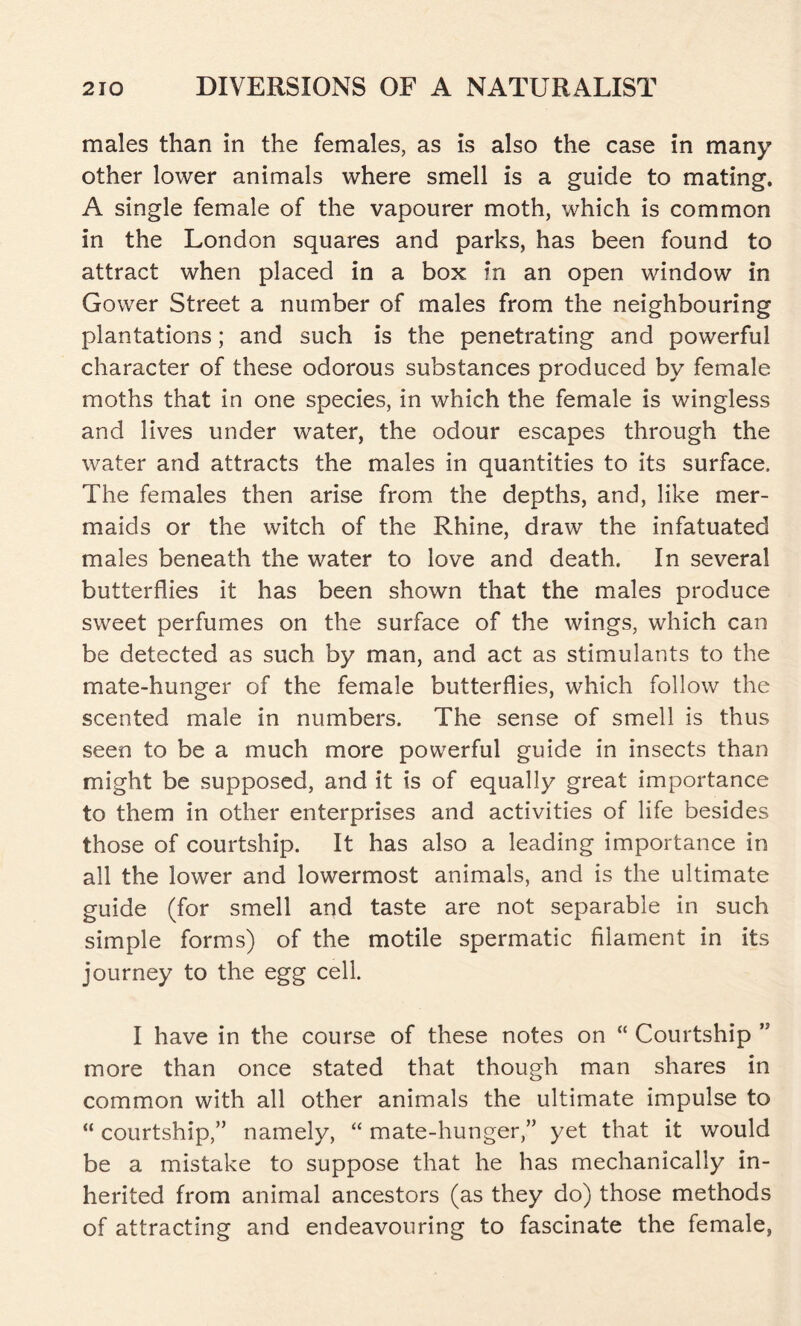 males than in the females, as is also the case in many other lower animals where smell is a guide to mating. A single female of the vapourer moth, which is common in the London squares and parks, has been found to attract when placed in a box in an open window in Gower Street a number of males from the neighbouring plantations; and such is the penetrating and powerful character of these odorous substances produced by female moths that in one species, in which the female is wingless and lives under water, the odour escapes through the water and attracts the males in quantities to its surface. The females then arise from the depths, and, like mer- maids or the witch of the Rhine, draw the infatuated males beneath the water to love and death. In several butterflies it has been shown that the males produce sweet perfumes on the surface of the wings, which can be detected as such by man, and act as stimulants to the mate-hunger of the female butterflies, which follow the scented male in numbers. The sense of smell is thus seen to be a much more powerful guide in insects than might be supposed, and it is of equally great importance to them in other enterprises and activities of life besides those of courtship. It has also a leading importance in all the lower and lowermost animals, and is the ultimate guide (for smell and taste are not separable in such simple forms) of the motile spermatic filament in its journey to the egg cell. I have in the course of these notes on “ Courtship 55 more than once stated that though man shares in common with all other animals the ultimate impulse to “ courtship,” namely, “ mate-hunger,” yet that it would be a mistake to suppose that he has mechanically in- herited from animal ancestors (as they do) those methods of attracting and endeavouring to fascinate the female,