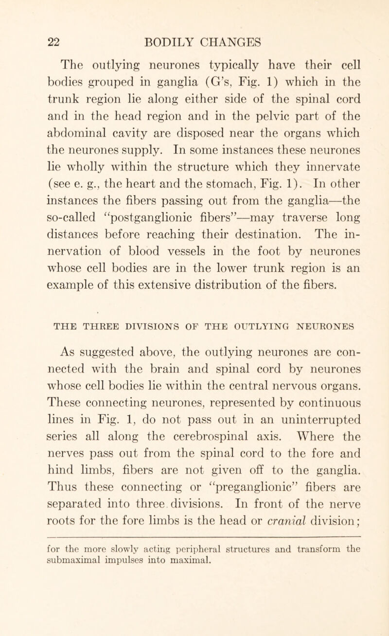 The outlying neurones typically have their cell bodies grouped in ganglia (G’s, Fig. 1) which in the trunk region lie along either side of the spinal cord and in the head region and in the pelvic part of the abdominal cavity are disposed near the organs which the neurones supply. In some instances these neurones lie wholly within the structure which they innervate (see e. g., the heart and the stomach, Fig. 1). In other instances the fibers passing out from the ganglia—the so-called “postganglionic fibers”—may traverse long distances before reaching their destination. The in¬ nervation of blood vessels in the foot by neurones whose cell bodies are in the lower trunk region is an example of this extensive distribution of the fibers. THE THREE DIVISIONS OF THE OUTLYING NEURONES As suggested above, the outlying neurones are con¬ nected with the brain and spinal cord by neurones whose cell bodies lie within the central nervous organs. These connecting neurones, represented by continuous lines in Fig. 1, do not pass out in an uninterrupted series all along the cerebrospinal axis. Where the nerves pass out from the spinal cord to the fore and hind limbs, fibers are not given off to the ganglia. Thus these connecting or “preganglionic” fibers are separated into three divisions. In front of the nerve roots for the fore limbs is the head or cranial division ; for the more slowly acting peripheral structures and transform the submaximal impulses into maximal.