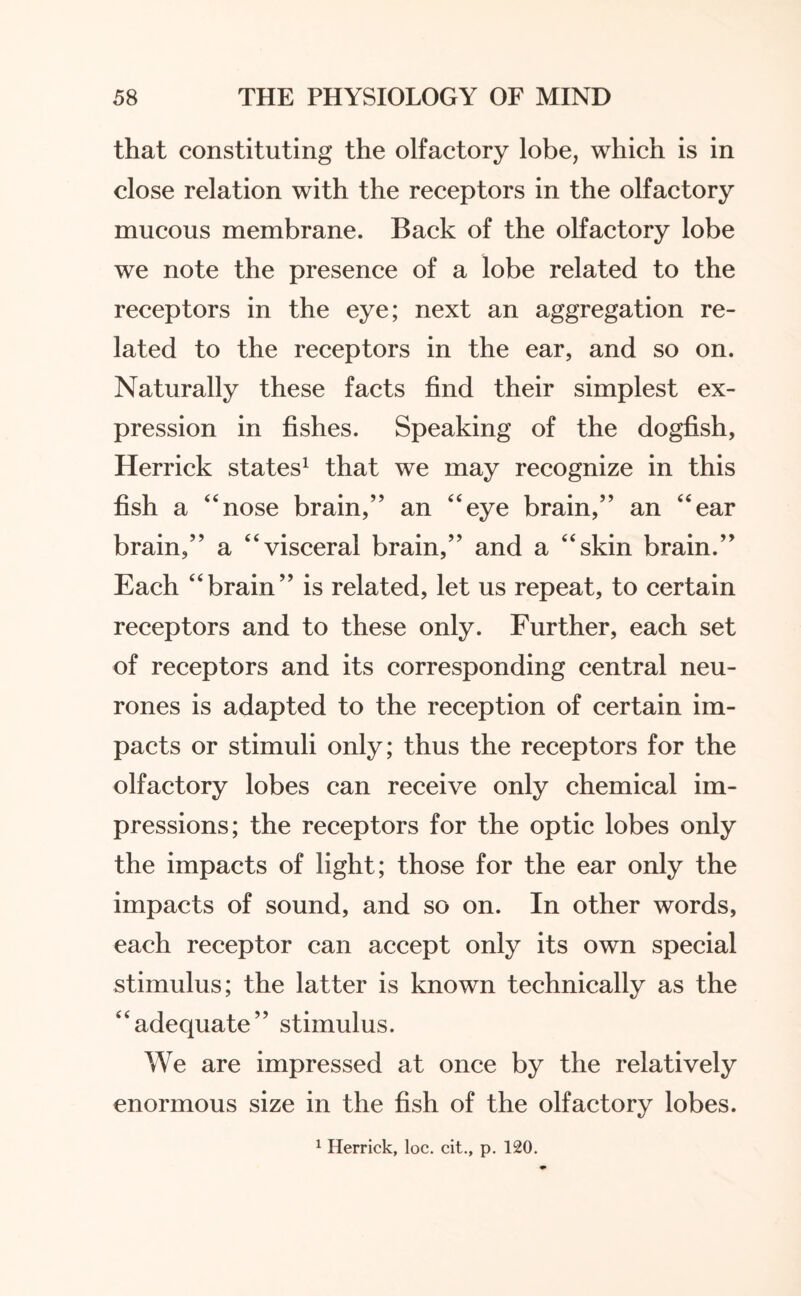 that constituting the olfactory lobe, which is in close relation with the receptors in the olfactory mucous membrane. Back of the olfactory lobe we note the presence of a lobe related to the receptors in the eye; next an aggregation re¬ lated to the receptors in the ear, and so on. Naturally these facts find their simplest ex¬ pression in fishes. Speaking of the dogfish, Herrick states1 that we may recognize in this fish a “nose brain,” an “eye brain,” an “ear brain,” a “visceral brain,” and a “skin brain.” Each “brain” is related, let us repeat, to certain receptors and to these only. Further, each set of receptors and its corresponding central neu¬ rones is adapted to the reception of certain im¬ pacts or stimuli only; thus the receptors for the olfactory lobes can receive only chemical im¬ pressions; the receptors for the optic lobes only the impacts of light; those for the ear only the impacts of sound, and so on. In other words, each receptor can accept only its own special stimulus; the latter is known technically as the “adequate” stimulus. We are impressed at once by the relatively enormous size in the fish of the olfactory lobes.