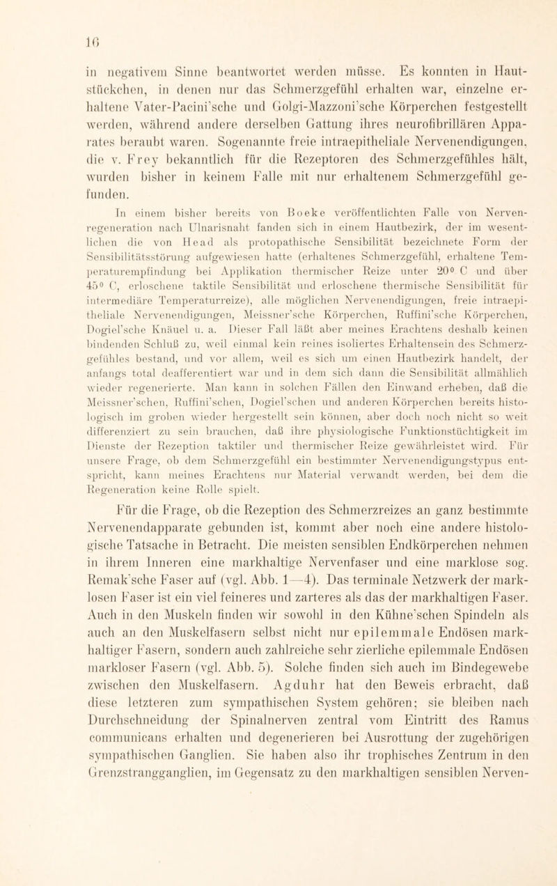 10 in negativem Sinne beantwortet werden müsse. Es konnten in Haut- stückchen, in denen nur das Schmerzgefühl erhalten war, einzelne er¬ haltene Vater-Pacinrsche und Golgi-Mazzoni’sche Körperchen festgestellt werden, während andere derselben Gattung ihres neurofibrillären Appa¬ rates beraubt waren. Sogenannte freie intraepitheliale Nervenendigungen, die v. Frey bekanntlich für die Rezeptoren des Schmerzgefühles hält, wurden bisher in keinem F'alle mit nur erhaltenem Schmerzgefühl ge¬ funden. In einem bisher bereits von Boeke veröffentlichten Falle von Nerven- regeneration nach Ulnarisnaht fanden sich in einem Hautbezirk, der im wesent¬ lichen die von He ad als protopathische Sensibilität bezeichnete Form der Sensibilitätsstörung aufgewiesen hatte (erhaltenes Schmerzgefühl, erhaltene Tem¬ peraturempfindung bei Applikation thermischer Reize unter 20° C und über 45° C, erloschene taktile Sensibilität und erloschene thermische Sensibilität für intermediäre Temperaturreize), alle möglichen Nervenendigungen, freie intraepi¬ theliale Nervenendigungen, Meissner’sche Körperchen, Ruffini’sche Körperchen, Dogiel’sche Knäuel u. a. Dieser Fall läßt aber meines Erachtens deshalb keinen bindenden Schluß zu, weil einmal kein reines isoliertes Erhaltensein des Schmerz¬ gefühles bestand, und vor allem, weil es sich um einen Hautbezirk handelt, der anfangs total deafferentiert war und in dem sich dann die Sensibilität allmählich wieder regenerierte. Man kann in solchen Fällen den Einwand erheben, daß die Meissner’schen, Ruffini’sehen, Dogiel’schen und anderen Körperchen bereits histo¬ logisch im groben wieder hergestellt sein können, aber doch noch nicht so weit differenziert zu sein brauchen, daß ihre plrysiologische Funktionstüchtigkeit im Dienste der Rezeption taktiler und thermischer Reize gewährleistet wird. Für unsere Frage, ob dem Schmerzgefühl ein bestimmter Nervenendigungstypus ent¬ spricht, kann meines Erachtens nur Material verwandt werden, bei dem die Regeneration keine Rolle spielt. Für die Frage, ob die Rezeption des Schmerzreizes an ganz bestimmte Nervenendapparate gebunden ist, kommt aber noch eine andere histolo¬ gische Tatsache in Betracht. Die meisten sensiblen Endkörperchen nehmen in ihrem Inneren eine markhaltige Nervenfaser und eine marklose sog. Remak’sche Faser auf (vgl. Abb. 1—4). Das terminale Netzwerk der mark- losen Faser ist ein viel feineres und zarteres als das der markhaltigen Flaser. Auch in den Muskeln finden wir sowohl in den Külme’schen Spindeln als auch an den Muskelfasern selbst nicht nur epilemmale Endösen mark- haltiger Fasern, sondern auch zahlreiche sehr zierliche epilemmale Endösen markloser Fasern (vgl. Abb. 5). Solche finden sich auch im Bindegewebe zwischen den Muskelfasern. Agduhr hat den Beweis erbracht, daß diese letzteren zum sympathischen System gehören; sie bleiben nach Durchschneidung der Spinalnerven zentral vom Eintritt des Ramus communicans erhalten und degenerieren bei Ausrottung der zugehörigen sympathischen Ganglien. Sie haben also ihr trophisches Zentrum in den Grenzstrangganglien, im Gegensatz zu den markhaltigen sensiblen Nerven-