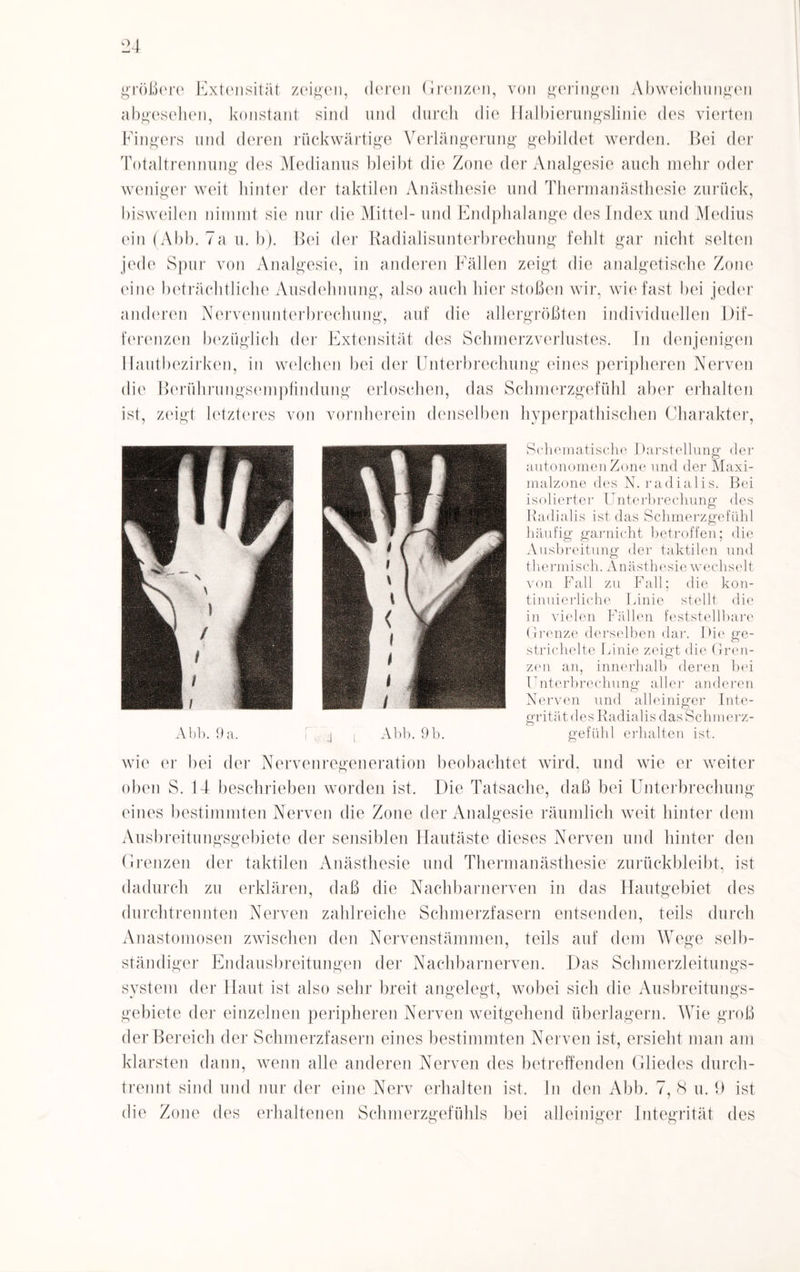 größere Extensität zeigen, deren Grenzen, von geringen Abweichungen abgesehen, konstant sind und durch die Halbierungslinie des vierten Fingers und deren rückwärtige Verlängerung gebildet werden. Bei der Totaltrennung des Medianus bleibt die Zone der Analgesie auch mehr oder weniger weit hinter der taktilen Anästhesie und Thermanästhesie zurück, bisweilen nimmt sie nur die Mittel- und Endphalange des Index und Medius ein (Abb. 7a u. b). Bei der Radialisunterbrechung fehlt gar nicht selten jede Spur von Analgesie, in anderen Fällen zeigt die analgetische Zone eine beträchtliche Ausdehnung, also auch hier stoßen wir, wie fast bei jeder anderen Nervenunterbrechung, auf die allergrößten individuellen Dif¬ ferenzen bezüglich der Extensität des Schmerzverlustes. In denjenigen Hautbezirken, in welchen bei der Unterbrechung eines peripheren Nerven die Berührungsempfindung erloschen, das Schmerzgefühl aber erhalten ist, zeigt letzteres von vornherein denselben hyperpathischen Charakter, Abb. 9 a. j i Abb. 9 b. Schematische Darstellung der autonomen Zone und der Maxi¬ malzone des N. radialis. Bei isolierter Unterbrechung des Radialis ist das Schmerzgefühl häufig garnicht betroffen; die Ausbreitung der taktilen und thermisch. Anästhesie wechselt von Fall zu Fall; die kon¬ tinuierliche Linie stellt die in vielen Fällen feststellbare Grenze derselben dar. Die ge¬ strichelte Linie zeigt die Gren¬ zen an, innerhalb deren bei Unterbrechung aller anderen Nerven und alleiniger Inte¬ grität des Radialis das Schmerz¬ gefühl erhalten ist. wie er bei der Nervenregeneration beobachtet wird, und wie er weiter oben S. 14 beschrieben worden ist. Die Tatsache, daß bei Unterbrechung eines bestimmten Nerven die Zone der Analgesie räumlich weit hinter dem Ausbreitungsgebiete der sensiblen Hautäste dieses Nerven und hinter den Grenzen der taktilen Anästhesie und Thermanästhesie zurückbleibt, ist dadurch zu erklären, daß die Nachbarnerven in das Hautgebiet des durchtrennten Nerven zahlreiche Schmerzfasern entsenden, teils durch Anastomosen zwischen den Nervenstämmen, teils auf dem Wege selb¬ ständiger Endausbreitungen der Nachbarnerven. Das Schmerzleitungs¬ system der Haut ist also sehr breit angelegt, wobei sich die Ausbreitungs¬ gebiete der einzelnen peripheren Nerven weitgehend überlagern. Wie groß der Bereich der Schmerzfasern eines bestimmten Nerven ist, ersieht man am klarsten dann, wenn alle anderen Nerven des betreffenden Gliedes durch¬ trennt sind und nur der eine Nerv erhalten ist. In den Abb. 7,8 u. 1) ist die Zone des erhaltenen Schmerzgefühls bei alleiniger Integrität des