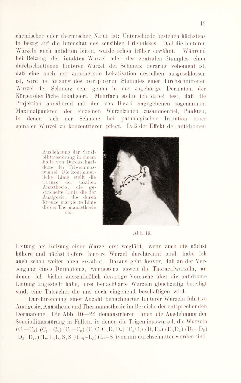 chemischer oder thermischer Natur ist: Unterschiede bestehen höchstens in bezug auf die Intensität des sensiblen Erlebnisses. Daß die hinteren Wurzeln auch antidrom leiten, wurde schon früher erwähnt. Während bei Reizung der intakten Wurzel oder des zentralen Stumpfes einer durchschnittenen hinteren Wurzel der Schmerz derartig vehement ist, daß eine auch nur annähernde Lokalisation desselben ausgeschlossen ist, wird bei Reizung des peripheren Stumpfes einer durchschnittenen Wurzel der Schmerz sehr genau in das zugehörige Dermatom der Körperobeifläche lokalisiert. Mehrfach stellte ich dabei fest, daß die Projektion annähernd mit den von Head angegebenen sogenannten Maximalpunkten der einzelnen Wurzelzonen zusammenfiel, Punkten, in denen sich der Schmerz bei pathologischer Irritation einer spinalen Wurzel zu konzentrieren pflegt. Daß der Effekt der antidromen Ausdehnung der Sensi- bilitätsstörung in einem Falle von Durchschnei¬ dung der Trigeminus¬ wurzel. Die kontinuier¬ liche Linie stellt die Grenze der taktilen Anästhesie, die ge¬ strichelte Linie die der Analgesie, die durch Kreuze markierte Linie die der Thermanästhesie dar. Abb. 10. Leitung bei Reizung einer Wurzel erst wegfällt, wenn auch die nächst höhere und nächst tiefere hintere Wurzel durchtrennt sind, habe ich auch schon weiter oben erwähnt. Daraus geht hervor, daß an der Ver¬ sorgung eines Dermatoms, wenigstens soweit die Thoracalwurzeln, an denen ich bisher ausschließlich derartige Versuche über die antidrome Leitung angestellt habe, drei benachbarte Wurzeln gleichzeitig beteiligt sind, eine Tatsache, die uns noch eingehend beschäftigen wird. Durchtrennung einer Anzahl benachbarter hinterer Wurzeln führt zu Analgesie, Anästhesie und Thermanästhesie im Bereiche der entsprechenden Dermatome. Die Abb. 10—22 demonstrieren Ihnen die Ausdehnung der Sensibilitätsstörung in Fällen, in denen die Trigeminuswurzel, die Wurzeln (Ci—C4) (Cj-Cs) (Cj-Ce) (C5C7CgD] Do) (C4C5) (D, D2) (D3D4) (D5-D9) D5_D12) (L2L3 L5S! So)(L1-L5) (L3-S1)von mir durchschnitten worden sind.