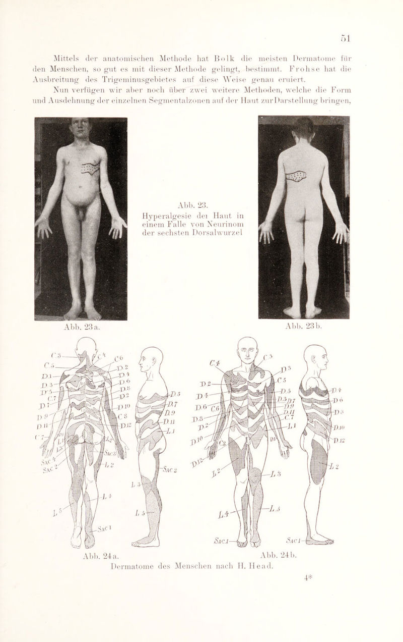 Mittels der anatomischen Methode hat Bolk die meisten Dermatome für den Menschen, so gut es mit dieser Methode gelingt, bestimmt. Frohse hat die Ausbreitung de Nun verfügen wir aber noch über zwei weitere Methoden, welche die Form und Ausdehnung der einzelnen Segmentalzonen auf der Haut zur Darstellung bringen, s Trigeminusgebietes auf diese Weise genau eruiert. Abb. 24a. Abb. 24b. Dermatome des Menschen nach H. He ad. 4*