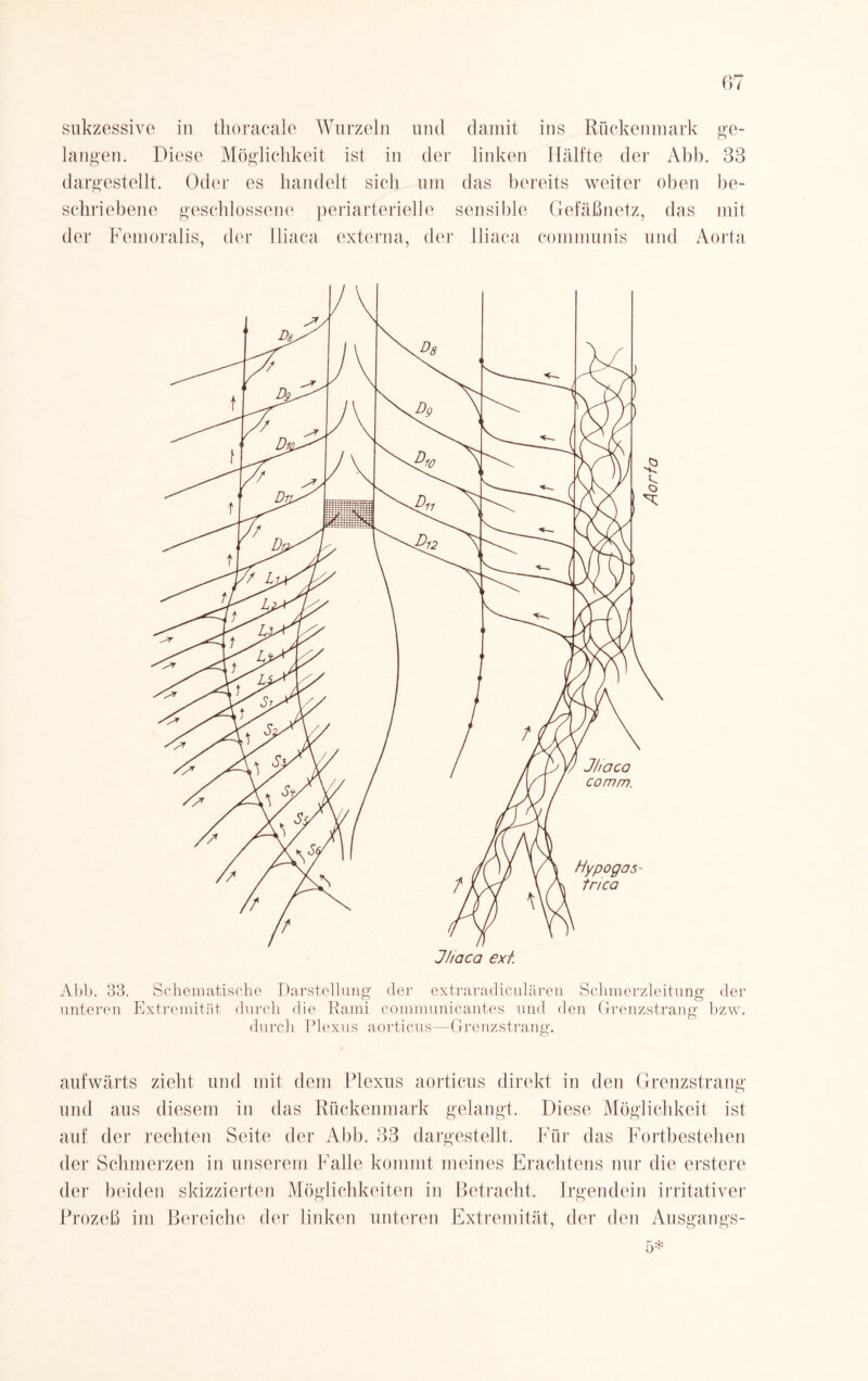 sukzessive in thoracale Wurzeln und damit ins Rückenmark ge¬ langen. Diese Möglichkeit ist in der linken Hälfte der Abb. 33 dargestellt. Oder es handelt sich um das bereits weiter oben be¬ schriebene geschlossene periarterielle sensible Gefäßnetz, das mit der Femoralis, der Iliaca externa, der Iliaea communis und Aorta Hypogas- tnca Jhaca ext. Abb. 33. Schematische Darstellung der extraradiculären Schmerzleitung der unteren Extremität durch die Rami communicantes und den Grenzstrang bzw. durch Plexus aorticus—Grenzstrang. aufwärts zieht und mit dem Plexus aorticus direkt in den Grenzstrang und aus diesem in das Rückenmark gelangt. Diese Möglichkeit ist auf der rechten Seite der Abb. 33 dargestellt. Für das Fortbestehen der Schmerzen in unserem Falle kommt meines Erachtens nur die erstere der beiden skizzierten Möglichkeiten in Betracht, Irgendein irritativer Prozeß im Bereiche der linken unteren Extremität, der den Ausgangs- 5*
