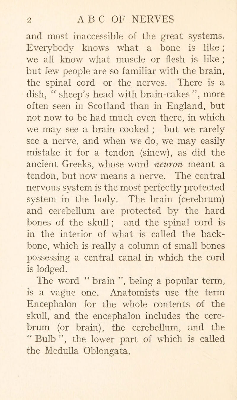 and most inaccessible of the great systems. Everybody knows what a bone is like; we all know what muscle or flesh is like ; but few people are so familiar with the brain, the spinal cord or the nerves. There is a dish, “ sheep's head with brain-cakes, more often seen in Scotland than in England, but not now to be had much even there, in which we may see a brain cooked ; but we rarely see a nerve, and when we do, we may easily mistake it for a tendon (sinew), as did the ancient Greeks, whose word neuron meant a tendon, but now means a nerve. The central nervous system is the most perfectly protected system in the body. The brain (cerebrum) and cerebellum are protected by the hard bones of the skull; and the spinal cord is in the interior of what is called the back¬ bone, which is really a column of small bones possessing a central canal in which the cord is lodged. The word “ brain , being a popular term, is a vague one. Anatomists use the term Encephalon for the whole contents of the skull, and the encephalon includes the cere¬ brum (or brain), the cerebellum, and the “ Bulb , the lower part of which is called the Medulla Oblongata.