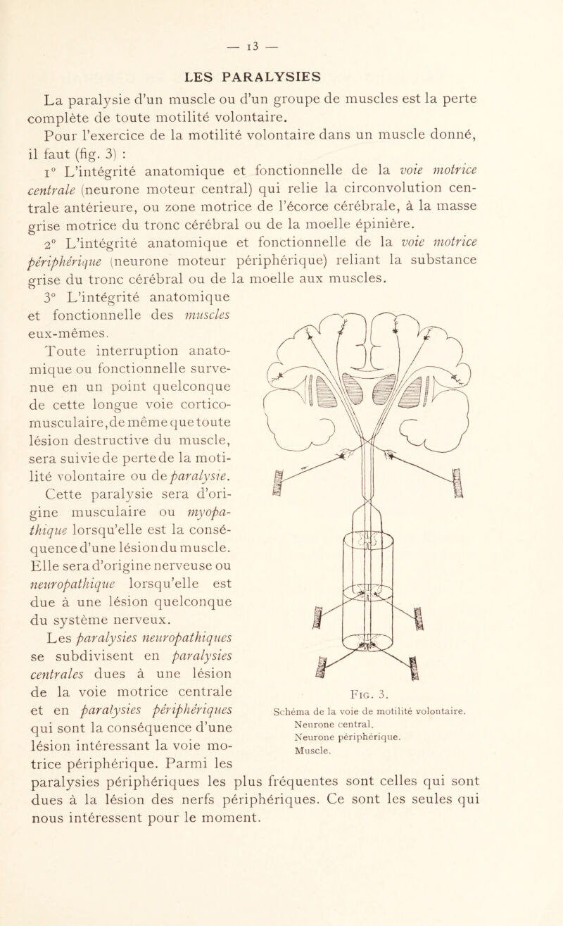 LES PARALYSIES La paralysie d’un muscle ou d’un groupe de muscles est la perte complète de toute motilité volontaire. Pour l’exercice de la motilité volontaire dans un muscle donné, il faut (fig. 3) : i° L’intégrité anatomique et fonctionnelle de la voie motrice centrale (neurone moteur central) qui relie la circonvolution cen¬ trale antérieure, ou zone motrice de l’écorce cérébrale, à la masse grise motrice du tronc cérébral ou de la moelle épinière. 2° L’intégrité anatomique et fonctionnelle de la voie motrice périphérique (neurone moteur périphérique) reliant la substance grise du tronc cérébral ou de la moelle aux muscles. 3° L’intégrité anatomique et fonctionnelle des muscles eux-mêmes. Toute interruption anato¬ mique ou fonctionnelle surve¬ nue en un point quelconque de cette longue voie cortico- musculaire,de même que toute lésion destructive du muscle, sera suivie de perte de la moti¬ lité volontaire ou de paralysie. Cette paralysie sera d’ori¬ gine musculaire ou myopa- thique lorsqu’elle est la consé¬ quence d’une lésion du muscle. Elle sera d’origine nerveuse ou neuropathique lorsqu’elle est due à une lésion quelconque du système nerveux. Les paralysies neuropathiques se subdivisent en paralysies centrales dues à une lésion de la voie motrice centrale et en paralysies périphériques qui sont la conséquence d’une lésion intéressant la voie mo¬ trice périphérique. Parmi les paralysies périphériques les plus fréquentes sont celles qui sont dues à la lésion des nerfs périphériques. Ce sont les seules qui nous intéressent pour le moment. Schéma de la voie de motilité volontaire. Neurone central. Neurone périphérique. Muscle.