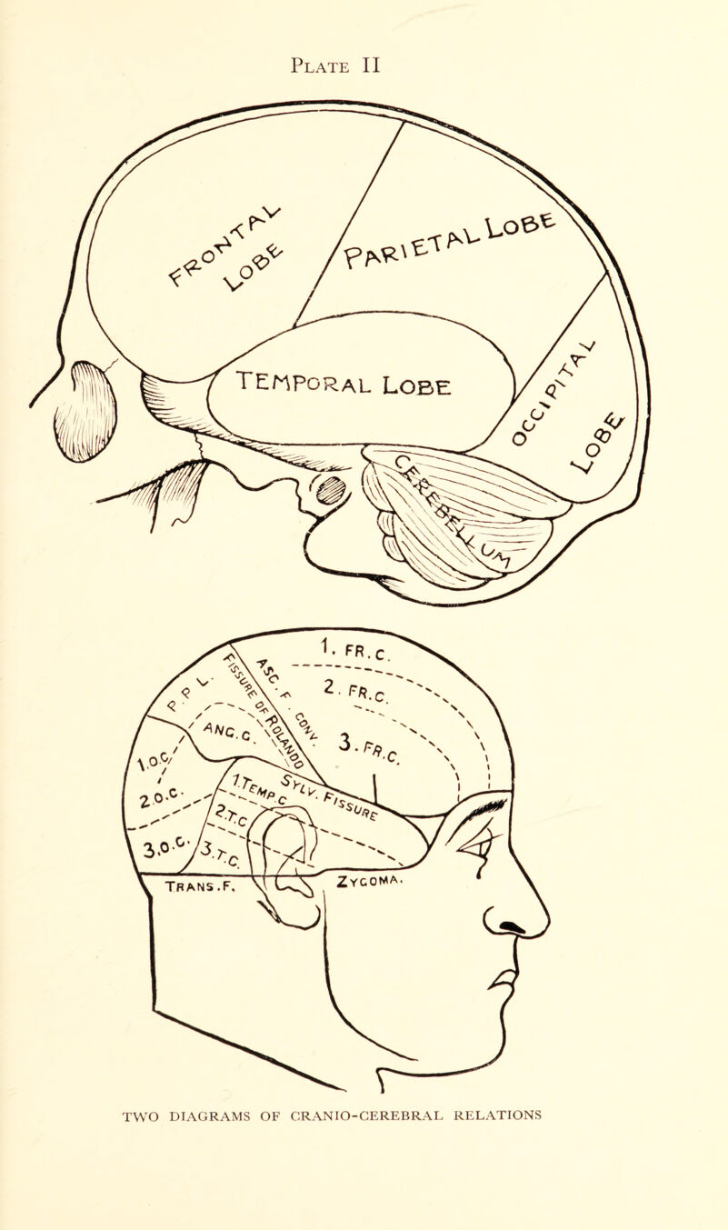 Plate II TWO DIAGRAMS OF C.RANIO-CEREBRAL RELATIONS