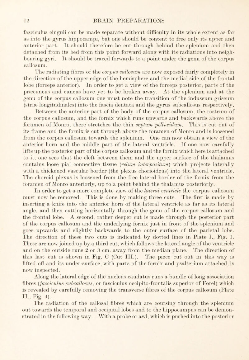 fasciculus cinguli can be made separate without difficulty in its whole extent as far as into the gyrus hippocampi, but one should be content to free only its upper and anterior part. It should therefore be cut through behind the splenium and then detached from its bed from this point forward along with its radiations into neigh¬ bouring gyri. It should be traced forwards to a point under the genu of the corpus callosum. The radiating fibres of the corpus callosum are now exposed fairly completely in the direction of the upper edge of the hemisphere and the medial side of the frontal lobe (forceps anterior). In order to get a viewT of the forceps posterior, parts of the prsecuneus and cuneus have yet to be broken away. At the splenium and at the genu of the corpus callosum one must note the transition of the induseum griseum (strise longitudinales) into the fascia dentata and the gyrus subcallosus respectively. Between the anterior part of the body of the corpus callosum, the rostrum of the corpus callosum, and the fornix which runs upwards and backwards above the foramen of Monro, there stretches the thin septum pellucidum. This is cut out of its frame and the fornix is cut through above the foramen of Monro and is loosened from the corpus callosum towards the splenium. One can now obtain a view of the anterior horn and the middle part of the lateral ventricle. If one now carefully lifts up the posterior part of the corpus callosum and the fornix which here is attached to it, one sees that the cleft between them and the upper surface of the thalamus contains loose pial connective tissue (velum interpositum) which projects laterally with a thickened vascular border (the plexus chorioideus) into the lateral ventricle. The choroid plexus is loosened from the free lateral border of the fornix from the foramen of Monro anteriorly, up to a point behind the thalamus posteriorly. In order to get a more complete view of the lateral ventricle the corpus callosum must now be removed. This is done by making three cuts. The first is made by inserting a knife into the anterior horn of the lateral ventricle as far as its lateral angle, and then cutting horizontally through the genu of the corpus callosum and the frontal lobe. A second, rather deeper cut is made through the posterior part of the corpus callosum and the underlying fornix just in front of the splenium and goes upwards and slightly backwards to the outer surface of the parietal lobe. The direction of these two cuts is indicated by dotted lines in Plate I., Fig. 1. These are now joined up by a third cut, which follows the lateral angle of the ventricle and on the outside runs 2 or 3 cm. away from the median plane. The direction of this last cut is shown in Fig. C (Cut III.). The piece cut out in this way is lifted off and its under-surface, with parts of the fornix and psalterium attached, is now inspected. Along the lateral edge of the nucleus cauclatus runs a bundle of long association fibres (fasciculus subcallosus, or fasciculus occipito-frontalis superior of Forel) which is revealed by carefully removing the transverse fibres of the corpus callosum (Plate II., Fig. 4). The radiation of the callosal fibres which are coursing through the splenium out towards the temporal and occipital lobes and to the hippocampus can be demon¬ strated in the following way. With a probe or awl, which is pushed into the posterior