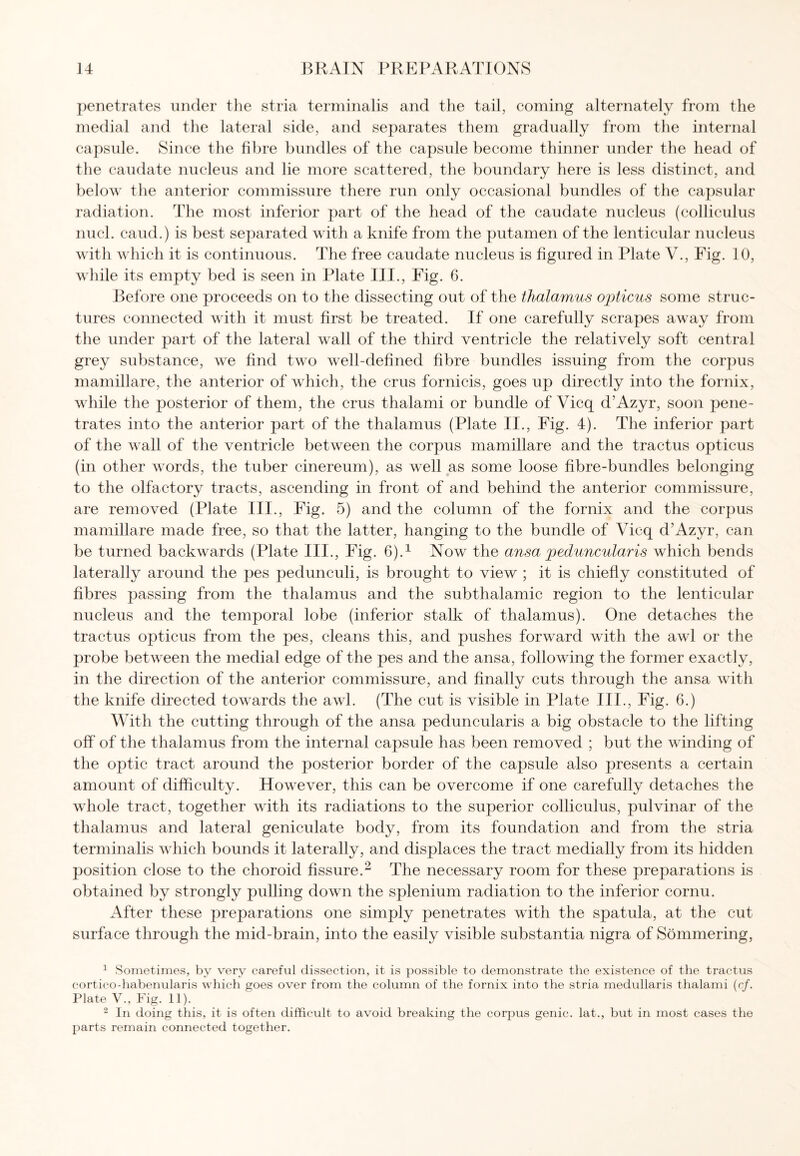 penetrates under the stria terminalis and the tail, coming alternately from the medial and the lateral side, and separates them gradually from the internal capsule. Since the fibre bundles of the capsule become thinner under the head of the caudate nucleus and lie more scattered, the boundary here is less distinct, and below the anterior commissure there run only occasional bundles of the capsular radiation. The most inferior part of the head of the caudate nucleus (colliculus nucl. caud.) is best separated with a knife from the putamen of the lenticular nucleus with which it is continuous. The free caudate nucleus is figured in Plate V., Fig. 10, while its empty bed is seen in Plate III., Fig. 6. Before one proceeds on to the dissecting out of the thalamus opticus some struc¬ tures connected with it must first be treated. If one carefully scrapes away from the under part of the lateral wall of the third ventricle the relatively soft central grey substance, we find two well-defined fibre bundles issuing from the corpus mamillare, the anterior of which, the crus fornicis, goes up directly into the fornix, while the posterior of them, the crus thalami or bundle of Vicq d’Azyr, soon pene¬ trates into the anterior part of the thalamus (Plate II., Fig. 4). The inferior part of the wall of the ventricle between the corpus mamillare and the tractus opticus (in other words, the tuber cinereum), as well as some loose fibre-bundles belonging to the olfactory tracts, ascending in front of and behind the anterior commissure, are removed (Plate III., Fig. 5) and the column of the fornix and the corpus mamillare made free, so that the latter, hanging to the bundle of Vicq d’Azyr, can be turned backwards (Plate III., Fig. 6).1 Now the ansa peduncular is which bends laterally around the pes pedunculi, is brought to view ; it is chiefly constituted of fibres passing from the thalamus and the subthalamic region to the lenticular nucleus and the temporal lobe (inferior stalk of thalamus). One detaches the tractus opticus from the pes, cleans this, and pushes forward with the awl or the probe between the medial edge of the pes and the ansa, following the former exactly, in the direction of the anterior commissure, and finally cuts through the ansa with the knife directed towards the awl. (The cut is visible in Plate III., Fig. 6.) With the cutting through of the ansa peduncularis a big obstacle to the lifting off of the thalamus from the internal capsule has been removed ; but the winding of the optic tract around the posterior border of the capsule also presents a certain amount of difficulty. However, this can be overcome if one carefully detaches the whole tract, together with its radiations to the superior colliculus, pulvinar of the thalamus and lateral geniculate body, from its foundation and from the stria terminalis which bounds it laterally, and displaces the tract medially from its hidden position close to the choroid fissure.2 The necessary room for these preparations is obtained by strongly pulling down the splenium radiation to the inferior cornu. After these preparations one simply penetrates with the spatula, at the cut surface through the mid-brain, into the easily visible substantia nigra of Sommering, 1 Sometimes, by very careful dissection, it is possible to demonstrate the existence of the tractus corticodiabenularis which goes over from the column of the fornix into the stria medullaris thalami (c/. Plate V., Fig. 11). 2 In doing this, it is often difficult to avoid breaking the corpus genic, lat., but in most cases the parts remain connected together.