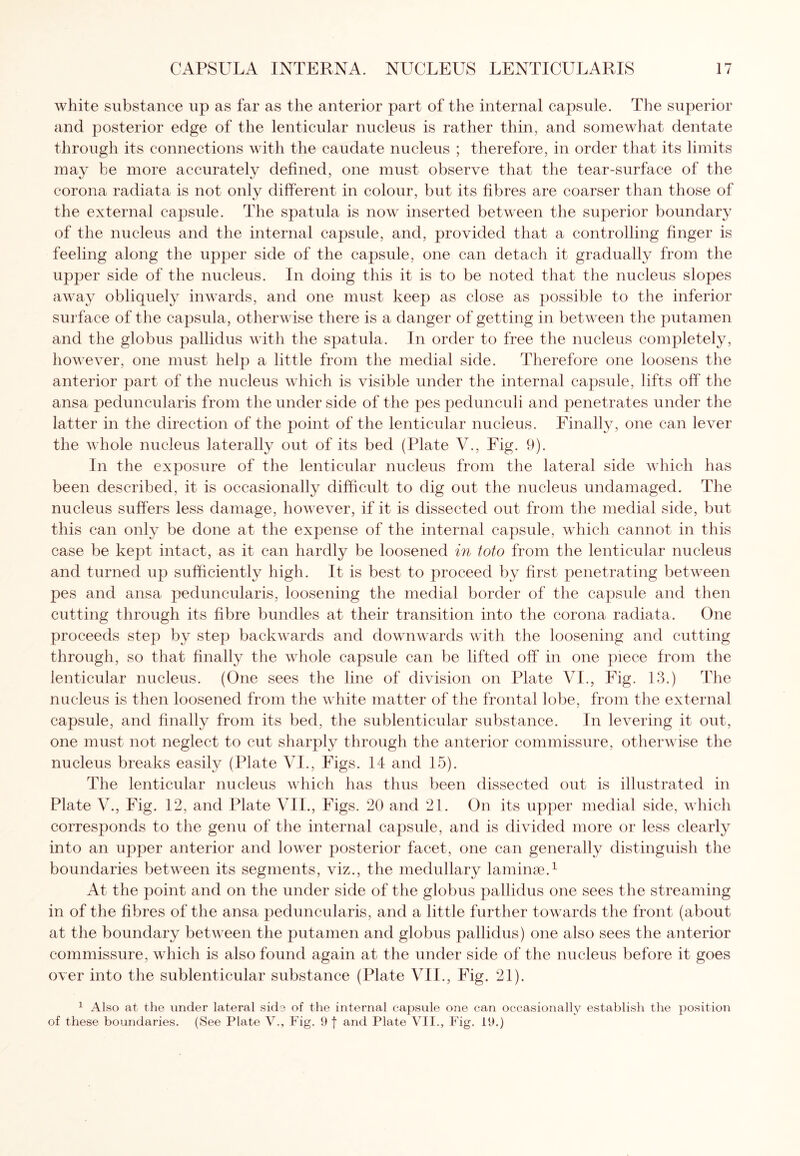 white substance up as far as the anterior part of the internal capsule. The superior and posterior edge of the lenticular nucleus is rather thin, and somewhat dentate through its connections with the caudate nucleus ; therefore, in order that its limits may be more accurately defined, one must observe that the tear-surface of the corona radiata is not only different in colour, but its fibres are coarser than those of the external capsule. The spatula is now inserted between the superior boundary of the nucleus and the internal capsule, and, provided that a controlling finger is feeling along the upper side of the capsule, one can detach it gradually from the upper side of the nucleus. In doing this it is to be noted that the nucleus slopes away obliquely inwards, and one must keep as close as possible to the inferior surface of the capsula, otherwise there is a danger of getting in between the putamen and the globus pallidus with the spatula. In order to free the nucleus completely, however, one must help a little from the medial side. Therefore one loosens the anterior part of the nucleus which is visible under the internal capsule, lifts off' the ansa peduncularis from the under side of the pes pedunculi and penetrates under the latter in the direction of the point of the lenticular nucleus. Finally, one can lever the whole nucleus laterally out of its bed (Plate V., Fig. 9). In the exposure of the lenticular nucleus from the lateral side which has been described, it is occasionally difficult to dig out the nucleus undamaged. The nucleus suffers less damage, however, if it is dissected out from the medial side, but this can only be done at the expense of the internal capsule, which cannot in this case be kept intact, as it can hardly be loosened in toto from the lenticular nucleus and turned up sufficiently high. It is best to proceed by first penetrating between pes and ansa peduncularis, loosening the medial border of the capsule and then cutting through its fibre bundles at their transition into the corona radiata. One proceeds step by step backwards and downwards with the loosening and cutting through, so that finally the whole capsule can be lifted off in one piece from the lenticular nucleus. (One sees the line of division on Plate VI., Fig. 13.) The nucleus is then loosened from the white matter of the frontal lobe, from the external capsule, and finally from its bed, the sublenticular substance. In levering it out, one must not neglect to cut sharply through the anterior commissure, otherwise the nucleus breaks easily (Plate VI., Figs. 14 and 15). The lenticular nucleus which has thus been dissected out is illustrated in Plate V., Fig. 12, and Plate VII., Figs. 20 and 21. On its upper medial side, which corresponds to the genu of the internal capsule, and is divided more or less clearly into an upper anterior and lower posterior facet, one can generally distinguish the boundaries between its segments, viz., the medullary laminae.1 At the point and on the under side of the globus pallidus one sees the streaming in of the fibres of the ansa peduncularis, and a little further towards the front (about at the boundary between the putamen and globus pallidus) one also sees the anterior commissure, which is also found again at the under side of the nucleus before it goes over into the sublenticular substance (Plate VII., Fig. 21). 1 Also at the under lateral side of the internal capsule one can occasionally establish the position of these boundaries. (See Plate V., Fig. 9 f and Plate VII., Fig. 19.)