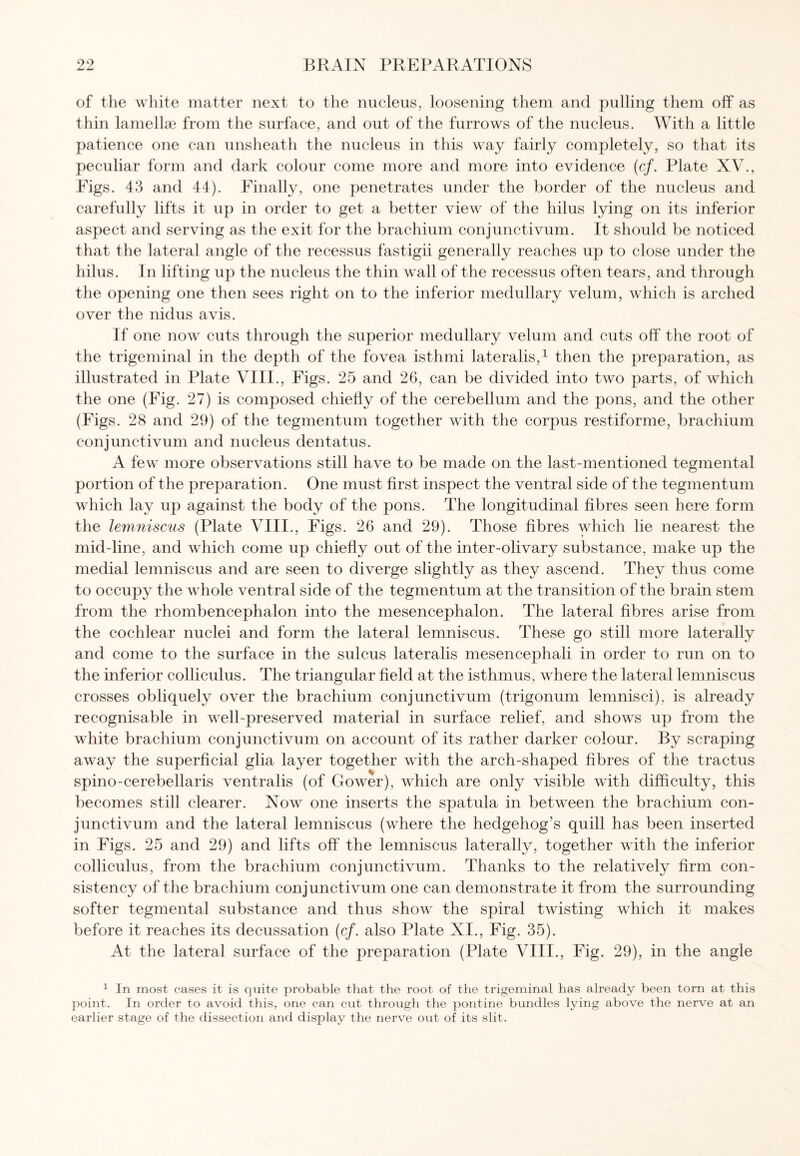of the white matter next to the nucleus, loosening them and pulling them off as thin lamellae from the surface, and out of the furrows of the nucleus. With a little patience one can unsheath the nucleus in this way fairly completely, so that its peculiar form and dark colour come more and more into evidence (cf. Plate XV., Figs. 43 and 44). Finally, one penetrates under the border of the nucleus and carefully lifts it up in order to get a better view of the hilus lying on its inferior aspect and serving as the exit for the brachium conjunctivum. It should be noticed that the lateral angle of the recessus fastigii generally reaches up to close under the hilus. In lifting up the nucleus the thin wall of the recessus often tears, and through the opening one then sees right on to the inferior medullary velum, which is arched over the nidus avis. If one now cuts through the superior medullary velum and cuts off the root of the trigeminal in the depth of the fovea isthmi lateralis,1 then the preparation, as illustrated in Plate VIII., Figs. 25 and 26, can be divided into two parts, of which the one (Fig. 27) is composed chiefly of the cerebellum and the pons, and the other (Figs. 28 and 29) of the tegmentum together with the corpus restiforme, brachium conjunctivum and nucleus dentatus. A few more observations still have to be made on the last-mentioned tegmental portion of the preparation. One must first inspect the ventral side of the tegmentum which lay up against the body of the pons. The longitudinal fibres seen here form the lemniscus (Plate VIII., Figs. 26 and 29). Those fibres which lie nearest the mid-line, and which come up chiefly out of the inter-olivary substance, make up the medial lemniscus and are seen to diverge slightly as they ascend. They thus come to occupy the whole ventral side of the tegmentum at the transition of the brain stem from the rhombencephalon into the mesencephalon. The lateral fibres arise from the cochlear nuclei and form the lateral lemniscus. These go still more laterally and come to the surface in the sulcus lateralis mesencephali in order to run on to the inferior colliculus. The triangular field at the isthmus, where the lateral lemniscus crosses obliquely over the brachium conjunctivum (trigonum lemnisci), is already recognisable in well-preserved material in surface relief, and shows up from the white brachium conjunctivum on account of its rather darker colour. By scraping away the superficial glia layer together with the arch-shaped fibres of the tractus spino-cerebellaris ventralis (of Gower), which are only visible with difficulty, this becomes still clearer. Now one inserts the spatula in between the brachium con¬ junctivum and the lateral lemniscus (where the hedgehog’s quill has been inserted in Figs. 25 and 29) and lifts off the lemniscus laterally, together with the inferior colliculus, from the brachium conjunctivum. Thanks to the relatively firm con¬ sistency of the brachium conjunctivum one can demonstrate it from the surrounding softer tegmental substance and thus show the spiral twisting which it makes before it reaches its decussation (cf. also Plate XI., Fig. 35). At the lateral surface of the preparation (Plate VIII., Fig. 29), in the angle 1 In most cases it is quite probable that the root of the trigeminal has already been torn at this point. In order to avoid this, one can cut through the pontine bundles lying above the nerve at an earlier stage of the dissection and display the nerve out of its slit.