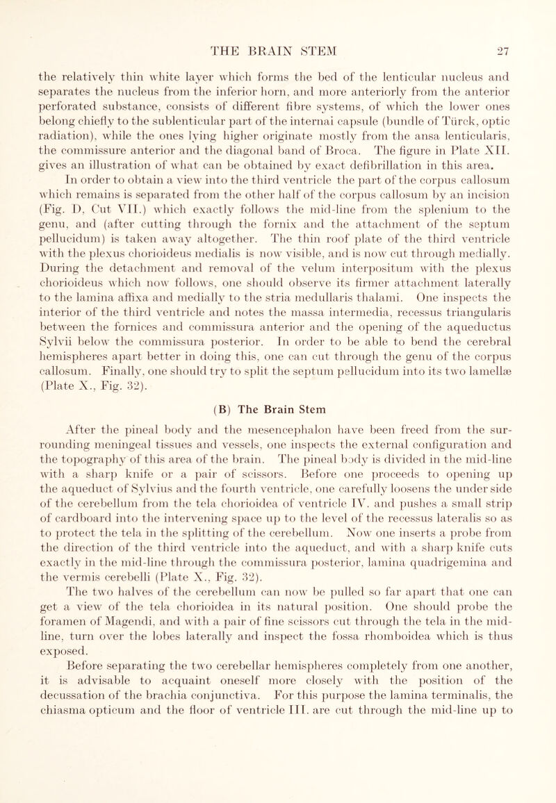 the relatively thin white layer which forms the bed of the lenticular nucleus and separates the nucleus from the inferior horn, and more anteriorly from the anterior perforated substance, consists of different fibre systems, of which the lower ones belong chiefly to the sublenticular part of the internal capsule (bundle of Tiirck, optic radiation), while the ones lying higher originate mostly from the ansa lenticularis, the commissure anterior and the diagonal band of Broca. The figure in Plate XII. gives an illustration of what can be obtained by exact defibrillation in this area. In order to obtain a view into the third ventricle the part of the corpus callosum which remains is separated from the other half of the corpus callosum by an incision (Fig. D, Cut VII.) which exactly follows the mid-line from the splenium to the genu, and (after cutting through the fornix and the attachment of the septum pellucidum) is taken away altogether. The thin roof plate of the third ventricle with the plexus chorioideus medialis is now visible, and is now cut through medially. During the detachment and removal of the velum interposition with the plexus chorioideus which now follows, one should observe its firmer attachment laterally to the lamina affixa and medially to the stria medullaris thalami. One inspects the interior of the third ventricle and notes the massa intermedia, recessus triangularis between the fornices and commissura anterior and the opening of the aqueductus Sylvii below the commissura posterior. In order to be able to bend the cerebral hemispheres apart better in doing this, one can cut through the genu of the corpus callosum. Finally, one should try to split the septum pellucidum into its two lamellse (Plate X., Fig. 32). (B) The Brain Stem After the pineal body and the mesencephalon have been freed from the sur¬ rounding meningeal tissues and vessels, one inspects the external configuration and the topography of this area of the brain. The pineal body is divided in the mid-line with a sharp knife or a pair of scissors. Before one proceeds to opening up the aqueduct of Sylvius and the fourth ventricle, one carefully loosens the underside of the cerebellum from the tela chorioidea of ventricle IV. and pushes a small strip of cardboard into the intervening space up to the level of the recessus lateralis so as to protect the tela in the splitting of the cerebellum. Now one inserts a probe from the direction of the third ventricle into the aqueduct, and with a sharp knife cuts exactly in the mid-line through the commissura posterior, lamina quadrigemina and the vermis cerebelli (Plate X., Fig. 32). The two halves of the cerebellum can now be pulled so far apart that one can get a view of the tela chorioidea in its natural position. One should probe the foramen of Magendi, and with a pair of fine scissors cut through the tela in the mid¬ line, turn over the lobes laterally and inspect the fossa rhomboidea which is thus exposed. Before separating the two cerebellar hemispheres completely from one another, it is advisable to acquaint oneself more closely with the position of the decussation of the brachia conjunctiva. For this purpose the lamina terminalis, the chiasma opticum and the floor of ventricle III. are cut through the mid-line up to