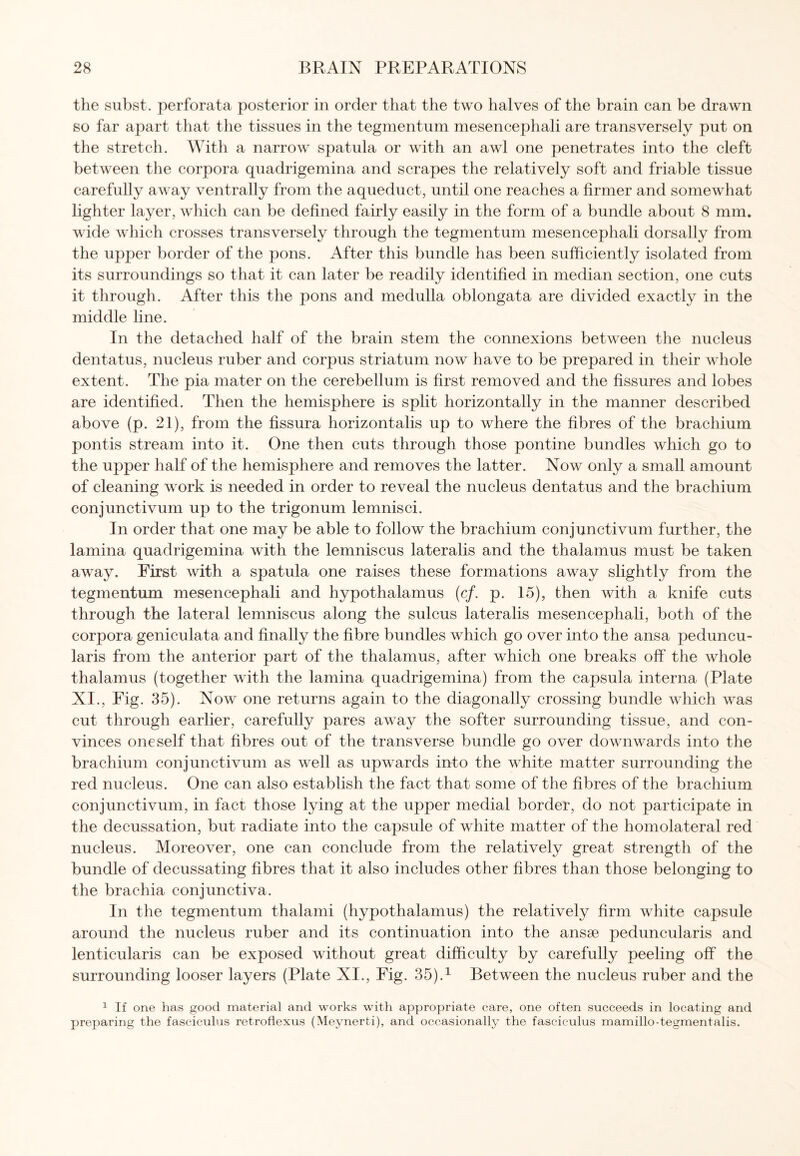 the subst. perforata posterior in order that the two halves of the brain can be drawn so far apart that the tissues in the tegmentum mesencephali are transversely put on the stretch. With a narrow spatula or with an awl one penetrates into the cleft between the corpora quadrigemina and scrapes the relatively soft and friable tissue carefully away ventrally from the aqueduct, until one reaches a firmer and somewhat lighter layer, which can be defined fairly easily in the form of a bundle about 8 mm. wide which crosses transversely through the tegmentum mesencephali dorsally from the upper border of the pons. After this bundle has been sufficiently isolated from its surroundings so that it can later be readily identified in median section, one cuts it through. After this the pons and medulla oblongata are divided exactly in the middle line. In the detached half of the brain stem the connexions between the nucleus dentatus, nucleus ruber and corpus striatum now have to be prepared in their whole extent. The pia mater on the cerebellum is first removed and the fissures and lobes are identified. Then the hemisphere is split horizontally in the manner described above (p. 21), from the fissura horizontalis up to where the fibres of the brachium pontis stream into it. One then cuts through those pontine bundles which go to the upper half of the hemisphere and removes the latter. Now only a small amount of cleaning work is needed in order to reveal the nucleus dentatus and the brachium conjunctivum up to the trigonum lemnisci. In order that one may be able to follow the brachium conjunctivum further, the lamina quadrigemina with the lemniscus lateralis and the thalamus must be taken away. First with a spatula one raises these formations away slightly from the tegmentum mesencephali and hypothalamus (cf. p. 15), then with a knife cuts through the lateral lemniscus along the sulcus lateralis mesencephali, both of the corpora geniculata and finally the fibre bundles which go over into the ansa peduncu- laris from the anterior part of the thalamus, after which one breaks off the whole thalamus (together with the lamina quadrigemina) from the capsula interna (Plate XI., Fig. 35). Now one returns again to the diagonally crossing bundle which was cut through earlier, carefully pares away the softer surrounding tissue, and con¬ vinces oneself that fibres out of the transverse bundle go over downwards into the brachium conjunctivum as well as upwards into the white matter surrounding the red nucleus. One can also establish the fact that some of the fibres of the brachium conjunctivum, in fact those lying at the upper medial border, do not participate in the decussation, but radiate into the capsule of white matter of the homolateral red nucleus. Moreover, one can conclude from the relatively great strength of the bundle of decussating fibres that it also includes other fibres than those belonging to the brachia conjunctiva. In the tegmentum thalami (hypothalamus) the relatively firm white capsule around the nucleus ruber and its continuation into the ansse peduncularis and lenticularis can be exposed without great difficulty by carefully peeling off the surrounding looser layers (Plate XI., Fig. 35).1 Between the nucleus ruber and the 1 If one has good material and works with appropriate care, one often succeeds in locating and preparing the fasciculus retroflexus (Meynerti), and occasionally the fasciculus mamillo-tegmentalis.
