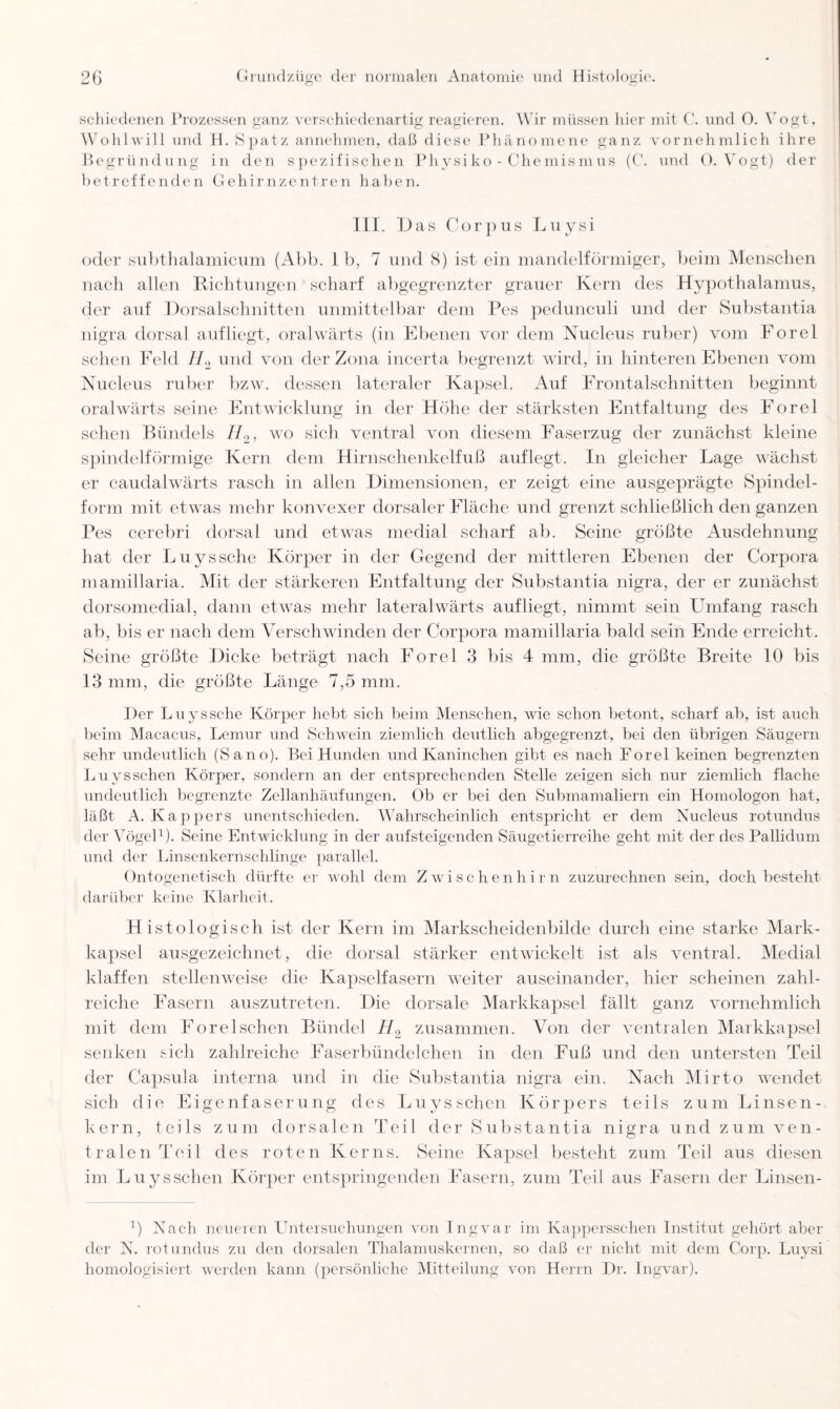 schiedenen Prozessen ganz verschiedenartig reagieren. Wir müssen hier mit C. und O. Vogt, Wohlwill und H. Spatz annehmen, daß diese Phänomene ganz vornehmlich ihre Begründung in den spezifischen Physiko-Chemismus (C. und 0. Vogt) der betreffenden Gehirnzentren haben. III. Das Corpus Luysi oder subthalamicum (Abb. 1 b, 7 und 8) ist ein mandelförmiger, beim Menschen nach allen Richtungen scharf abgegrenzter grauer Kern des Hypothalamus, der auf Dorsalschnitten unmittelbar dem Pes pedunculi und der Substantia nigra dorsal aufliegt, oralwärts (in Ebenen vor dem Nucleus ruber) vom Forel sehen Feld H2 und von derZona incerta begrenzt wird, in hinteren Ebenen vom Nucleus ruber bzw. dessen lateraler Kapsel. Auf Frontalschnitten beginnt oralwärts seine Entwicklung in der Höhe der stärksten Entfaltung des Forel sehen Bündels H2, wo sich ventral von diesem Faserzug der zunächst kleine spindelförmige Kern dem Hirnschenkelfuß auf legt. In gleicher Lage wächst er caudalwärts rasch in allen Dimensionen, er zeigt eine ausgeprägte Spindel¬ form mit etwas mehr konvexer dorsaler Fläche und grenzt schließlich den ganzen Pes cerebri dorsal und etwas medial scharf ab. Seine größte Ausdehnung hat der Luyssche Körper in der Gegend der mittleren Ebenen der Corpora mamillaria. Mit der stärkeren Entfaltung der Substantia nigra, der er zunächst dorsomedial, dann etwas mehr lateralwärts aufliegt, nimmt sein LTnfang rasch ab, bis er nach dem Verschwinden der Corpora mamillaria bald sein Ende erreicht. Seine größte Dicke beträgt nach Forel 3 bis 4 mm, die größte Breite 10 bis 13 mm, die größte Länge 7,5 mm. Der Luyssche Körper hebt sich beim Menschen, wie schon betont, scharf ab, ist auch beim Macacus, Lemur und Schwein ziemlich deutlich abgegrenzt, bei den übrigen Säugern sehr undeutlich (Sano). Bei Hunden und Kaninchen gibt es nach Forel keinen begrenzten Luysschen Körper, sondern an der entsprechenden Stelle zeigen sich nur ziemlich flache undeutlich begrenzte Zellanhäufungen. Ob er bei den Submamaliern ein Homologon hat, läßt A. Kappers unentschieden. Wahrscheinlich entspricht er dem Nucleus rotundus der Vögel1)- Seine Entwicklung in der aufsteigenden Säugetierreihe geht mit der des Pallidum und der Linsenkernschlinge parallel. Ontogenetisch dürfte er wohl dem Zwischenhirn zuzurechnen sein, doch besteht darüber keine Klarheit. Histologisch ist der Kern im Markscheidenbilde durch eine starke Mark¬ kapsel ausgezeichnet, die dorsal stärker entwickelt ist als ventral. Medial klaffen stellenweise die Kapselfasern weiter auseinander, hier scheinen zahl¬ reiche Fasern auszutreten. Die dorsale Markkapsel fällt ganz vornehmlich mit dem Forelschen Bündel H2 zusammen. Von der ventralen Markkapsel senken sich zahlreiche Faserbündelchen in den Fuß und den untersten Teil der Capsula interna und in die Substantia nigra ein. Nach Mirto wendet sich die Eigenfaserung des Luysschen Körpers teils zum Linsen¬ kern, teils zum dorsalen Teil der Substantia nigra und zum ven¬ tralen Teil des roten Kerns. Seine Kapsel besteht zum Teil aus diesen im Luysschen Körper entspringenden Fasern, zum Teil aus Fasern der Linsen- ]) Nach neueren Untersuchungen von Ingvar im Kappersschen Institut gehört aber der N. rotundus zu den dorsalen Thalamuskernen, so daß er nicht mit dem Corp. Luysi homologisiert werden kann (persönliche Mitteilung von Herrn Dr. Ingvar).