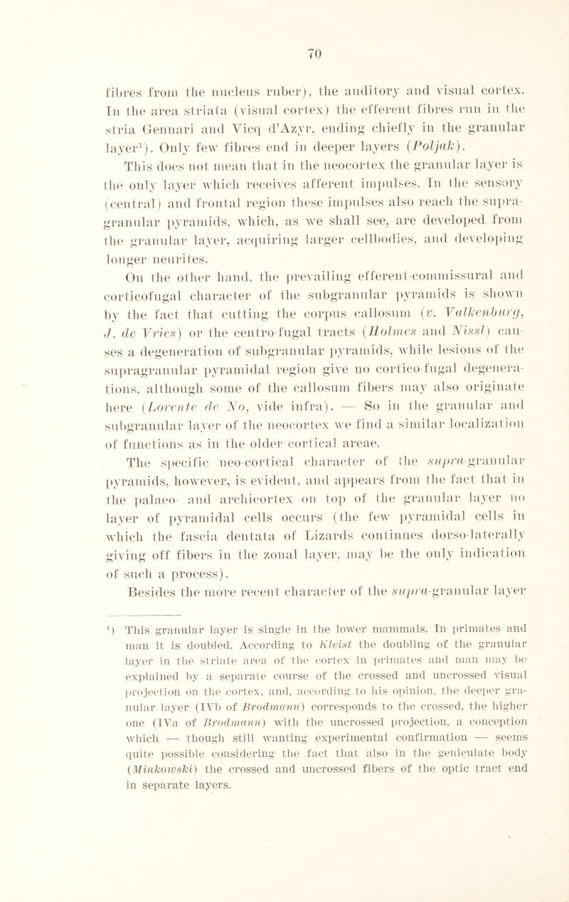 fibres from the nucleus ruber), the auditory and visual cortex. In the area striata (visual cortex) the efferent fibres run in the stria Gennari and Yicq d’Azyr, ending chiefly in the granular layer1). Only few fibres end in deeper layers (Poljak). This does not mean that in the neocortex the granular layer is the only layer which receives afferent impulses. In the sensory (central) and frontal region these impulses also reach the supra- granular pyramids, which, as we shall see, are developed from the granular layer, acquiring larger cellbodies, and developing longer neurites. On the other hand, the prevailing efferent-commissural and corticofugal character of the subgranular pyramids is shown by the fact that cutting the corpus callosum (v. Valkenburg, J. de Vries) or the centro-fugal tracts (Holmes and Nissl) cau¬ ses a degeneration of subgranular pyramids, while lesions of the supragranular pyramidal region give no cortico fugal degenera¬ tions, although some of the callosum fibers may also originate here (Lorente de No, vide infra). — So in the granular and subgranular layer of the neocortex we find a similar localization of functions as in the older cortical areae. The specific neo-cortical character of the supra-granular pyramids, however, is evident, and appears from the fact that in the palaeo- and arcliicortex on top of the granular layer no layer of pyramidal cells occurs (the few pyramidal cells in which the fascia dentata of Lizards continues dorso-laterally giving off fibers in the zonal layer, may be the only indication of such a process). Besides the more recent character of the supra-granular layer p This granular layer is single in the lower mammals. In primates anti man it is doubled. According to Kleist the doubling of the granular layer in the striate area of the cortex in primates and man may he explained by a separate course of the crossed and uncrossed visual projection on the cortex, and, according to Ids opinion, the deeper gra¬ nular layer (IVb of Brodmann) corresponds to the crossed, the higher one (IVa of Brodmann) with the uncrossed projection, a conception which — though still wanting experimental confirmation -— seems quite possible considering the fact that also in the geniculate body (Minkowski) the crossed and uncrossed fibers of the optic tract end in separate layers.