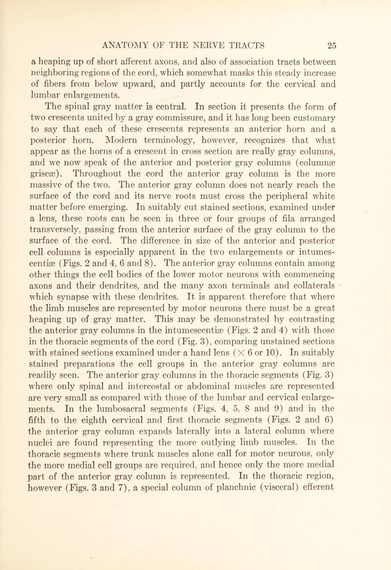 a heaping up of short afferent axons, and also of association tracts between neighboring regions of the cord, which somewhat masks this steady increase of fibers from below upward, and partly accounts for the cervical and lumbar enlargements. The spinal gray matter is central. In section it presents the form of two crescents united by a gray commissure, and it has long been customary to say that each of these crescents represents an anterior horn and a posterior horn. Modern terminology, however, recognizes that what appear as the horns of a crescent in cross section are really gray columns, and we now speak of the anterior and posterior gray columns (columns grisese). Throughout the cord the anterior gray column is the more massive of the two. The anterior gray column does not nearly reach the surface of the cord and its nerve roots must cross the peripheral white matter before emerging. In suitably cut stained sections, examined under a lens, these roots can be seen in three or four groups of fila arranged transversely, passing from the anterior surface of the gray column to the surface of the cord. The difference in size of the anterior and posterior cell columns is especially apparent in the two enlargements or intumes- centise (Figs. 2 and 4, 6 and 8). The anterior gray columns contain among other things the cell bodies of the lower motor neurons with commencing axons and their dendrites, and the many axon terminals and collaterals which synapse with these dendrites. It is apparent therefore that where the limb muscles are represented by motor neurons there must be a great heaping up of gray matter. This may be demonstrated by contrasting the anterior gray columns in the intumescentise (Figs. 2 and 4) with those in the thoracic segments of the cord (Fig. 3), comparing unstained sections with stained sections examined under a hand lens (X 6 or 10). In suitably stained preparations the ceil groups in the anterior gray columns are readily seen. The anterior gray columns in the thoracic segments (Fig. 3) where only spinal and intercostal or abdominal muscles are represented are very small as compared with those of the lumbar and cervical enlarge¬ ments. In the lumbosacral segments (Figs, 4, 5, 8 and 9) and in the fifth to the eighth cervical and first thoracic segments (Figs. 2 and 6) the anterior gray column expands laterally into a lateral column where nuclei are found representing the more outlying limb muscles. In the thoracic segments where trunk muscles alone call for motor neurons, only the more medial cell groups are required, and hence only the more medial part of the anterior gray column is represented. In the thoracic region, however (Figs. 3 and 7), a special column of planchnic (visceral) efferent