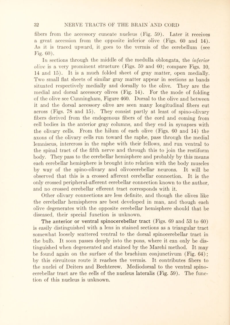 fibers from the accessory cuneate nucleus (Fig. 59). Later it receives a great accession from the opposite inferior olive (Figs. 60 and 14). As it is traced upward, it goes to the vermis of the cerebellum (see Fig. 60). In sections through the middle of the medulla oblongata, the inferior olive is a very prominent structure (Figs. 59 and 60; compare Figs. 10, 14 and 15). It is a much folded sheet of gray matter, open medially. Two small flat sheets of similar gray matter appear in sections as bands situated respectively medially and dorsally to the olive. They are the medial and dorsal accessory olives (Fig. 14). For the mode of folding of the olive see Cunningham, Figure 460. Dorsal to the olive and between it and the dorsal accessory olive are seen many longitudinal fibers cut across (Figs. 78 and 15). They consist partly at least of spino-olivary fibers derived from the endogenous fibers of the cord and coming from cell bodies in the anterior gray columns, and they end in synapses with the olivary cells. From the hilum of each olive (Figs. 60 and 14) the axons of the olivary cells run toward the raphe, pass through the medial lemniscus, intercross in the raphe with their fellows, and run ventral to the spinal tract of the fifth nerve and through this to join the restiform body. They pass to the cerebellar hemisphere and probably by this means each cerebellar hemisphere is brought into relation with the body muscles by way of the spino-olivary and olivocerebellar neurons. It will be observed that this is a crossed afferent cerebellar connection. It is the only crossed peripheral-afferent cerebellar connection known to the author, and no crossed cerebellar efferent tract corresponds with it. Other olivary connections are less definite, and though the olives like the cerebellar hemispheres are best developed in man, and though each olive degenerates with the opposite cerebellar hemisphere should that be diseased, their special function is unknown. The anterior or ventral spinocerebellar tract (Figs. 69 and 53 to 60) is easily distinguished with a lens in stained sections as a triangular tract somewhat loosely scattered ventral to the dorsal spinocerebellar tract in the bulb. It soon passes deeply into the pons, where it can only be dis¬ tinguished when degenerated and stained by the Marchi method. It may be found again on the surface of the brachium conjunctivum (Fig. 64); by this circuitous route it reaches the vermis. It contributes fibers to the nuclei of Deiters and Bechterew. Mediodorsal to the ventral spino¬ cerebellar tract are the cells of the nucleus lateralis (Fig. 59). The func¬ tion of this nucleus is unknown.