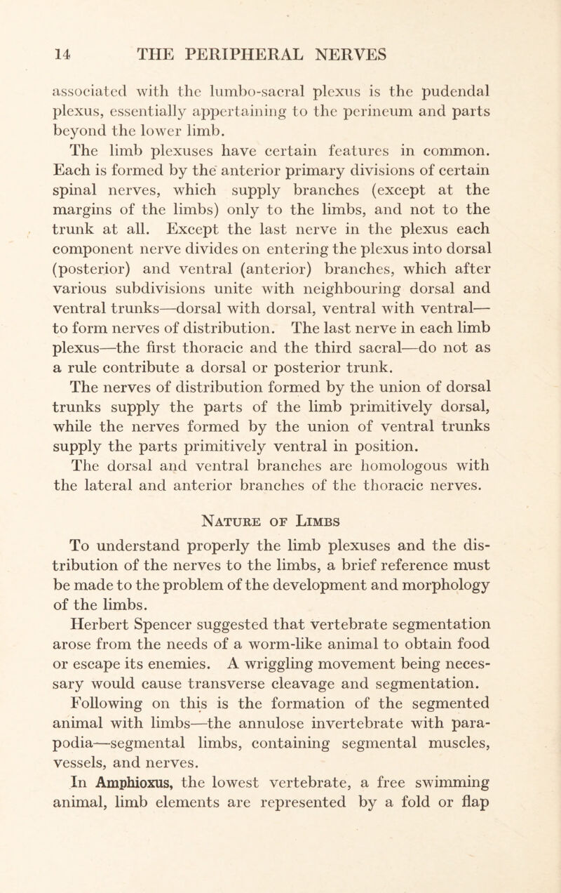 associated with the lumbo-sacral plexus is the pudendal plexus, essentially appertaining to the perineum and parts beyond the lower limb. The limb plexuses have certain features in common. Each is formed by the anterior primary divisions of certain spinal nerves, which supply branches (except at the margins of the limbs) only to the limbs, and not to the trunk at all. Except the last nerve in the plexus each component nerve divides on entering the plexus into dorsal (posterior) and ventral (anterior) branches, which after various subdivisions unite with neighbouring dorsal and ventral trunks—dorsal with dorsal, ventral with ventral— to form nerves of distribution. The last nerve in each limb plexus—the first thoracic and the third sacral—do not as a rule contribute a dorsal or posterior trunk. The nerves of distribution formed by the union of dorsal trunks supply the parts of the limb primitively dorsal, while the nerves formed by the union of ventral trunks supply the parts primitively ventral in position. The dorsal and ventral branches are homologous with the lateral and anterior branches of the thoracic nerves. Nature of Limbs To understand properly the limb plexuses and the dis¬ tribution of the nerves to the limbs, a brief reference must be made to the problem of the development and morphology of the limbs. Herbert Spencer suggested that vertebrate segmentation arose from the needs of a worm-like animal to obtain food or escape its enemies. A wriggling movement being neces¬ sary would cause transverse cleavage and segmentation. Following on this is the formation of the segmented animal with limbs—the annulose invertebrate with para- podia—segmental limbs, containing segmental muscles, vessels, and nerves. In Amphioxus, the lowest vertebrate, a free swimming animal, limb elements are represented by a fold or flap