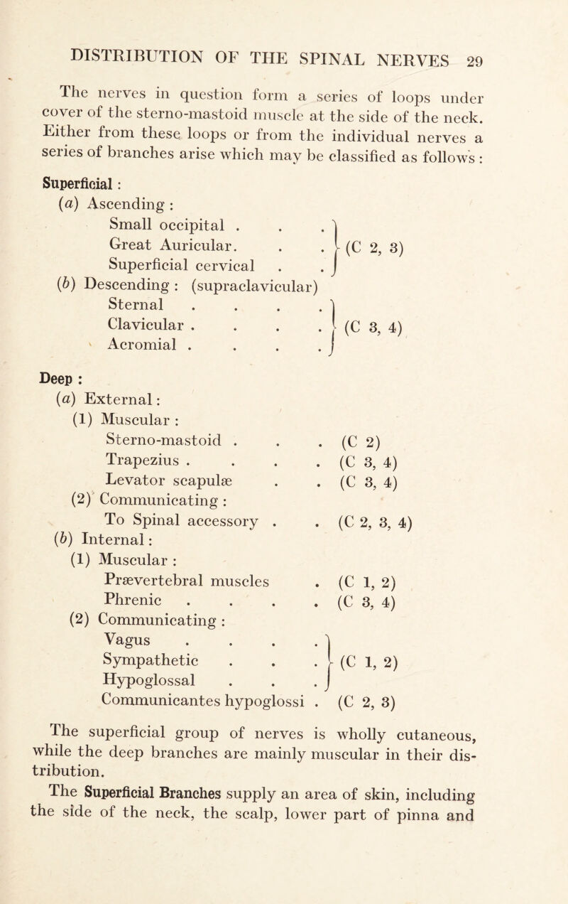The nerves in question form a series of loops under cover of the sterno-mastoid muscle at the side of the neck. Eithei fiom these loops or from the individual nerves a seiies of branches arise which may be classified as follows : Superficial: (a) Ascending : Small occipital . Great Auricular. Superficial cervical (b) Descending : (supraclavicular) Sternal Clavicular . Acromial . :! (C 3, 4) Deep : (a) External: (1) Muscular : Sterno-mastoid . Trapezius . Levator scapulae . (C 2) . (C 3, 4) . (C 3, 4) (2) Communicating : To Spinal accessory . • (C 2, 3, 4) (b) Internal: (1) Muscular : Praevertebral muscles Phrenic • (C 1, 2) . (C 3, 4) (2) Communicating : Vagus Sympathetic (C 1, 2) Hypoglossal . . . J Communicantes hypoglossi . (C 2, 3) The superficial group of nerves is wholly cutaneous, while the deep branches are mainly muscular in their dis¬ tribution. The Superficial Branches supply an area of skin, including the side of the neck, the scalp, lower part of pinna and