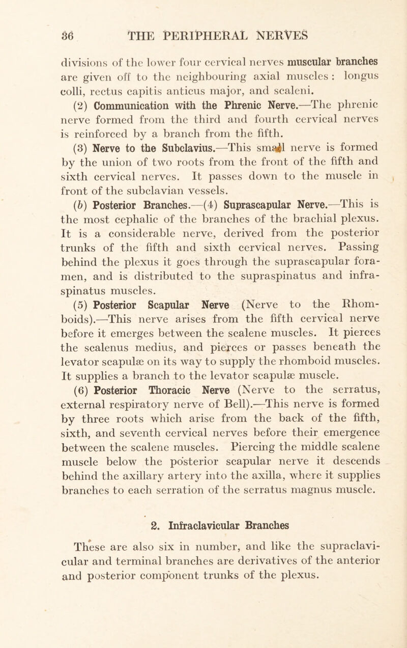 divisions of the lower four cervical nerves muscular branches are given off to the neighbouring axial muscles : longus colli, rectus capitis anticus major, and scaleni. (2) Communication with the Phrenic Nerve.—The phrenic nerve formed from the third and fourth cervical nerves is reinforced by a branch from the fifth. (3) Nerve to the Subclavius.—This small nerve is formed by the union of two roots from the front of the fifth and sixth cervical nerves. It passes down to the muscle in front of the subclavian vessels. (b) Posterior Branches.—(4) Suprascapular Nerve.—This is the most cephalic of the branches of the brachial plexus. It is a considerable nerve, derived from the posterior trunks of the fifth and sixth cervical nerves. Passing behind the plexus it goes through the suprascapular fora¬ men, and is distributed to the supraspinatus and infra¬ spinatus muscles. (5) Posterior Scapular Nerve (Nerve to the Rhom¬ boids).—This nerve arises from the fifth cervical nerve before it emerges between the scalene muscles. It pierces the scalenus medius, and pierces or passes beneath the levator scapulae on its way to supply the rhomboid muscles. It supplies a branch to the levator scapulae muscle. (6) Posterior Thoracic Nerve (Nerve to the serratus, external respiratory nerve of Bell).—This nerve is formed by three roots which arise from the back of the fifth, sixth, and seventh cervical nerves before their emergence between the scalene muscles. Piercing the middle scalene muscle below the posterior scapular nerve it descends behind the axillary artery into the axilla, where it supplies branches to each serration of the serratus magnus muscle. 2. Infraclavicular Branches These are also six in number, and like the supraclavi¬ cular and terminal branches are derivatives of the anterior and posterior component trunks of the plexus.