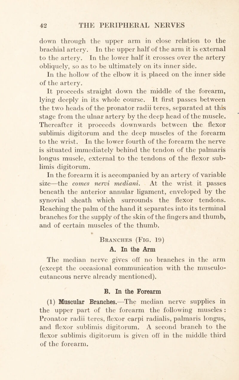 down through the upper arm in close relation to the brachial artery. In the upper half of the arm it is external to the artery. In the lower half it crosses over the artery obliquely, so as to be ultimately on its inner side. In the hollow of the elbow it is placed on the inner side of the artery. It proceeds straight down the middle of the forearm, lying deeply in its whole course. It first passes between the two heads of the pronator radii teres, separated at this stage from the ulnar artery by the deep head of the muscle. Thereafter it proceeds downwards between the flexor sublimis digitorum and the deep muscles of the forearm to the wrist. In the lower fourth of the forearm the nerve is situated immediately behind the tendon of the palmaris longus muscle, external to the tendons of the flexor sub¬ limis digitorum. In the forearm it is accompanied by an artery of variable size—the comes nervi mediani. At the wrist it passes beneath the anterior annular ligament, enveloped by the synovial sheath which surrounds the flexor tendons. Reaching the palm of the hand it separates into its terminal branches for the supply of the skin of the fingers and thumb, and of certain muscles of the thumb. Branches (Fig. 19) A. In the Arm The median nerve gives off no branches in the arm (except the occasional communication with the musculo¬ cutaneous nerve already mentioned). B. In the Forearm (1) Muscular Branches.—The median nerve supplies in the upper part of the forearm the following muscles : Pronator radii teres, flexor carpi radialis, palmaris longus, and flexor sublimis digitorum. A second branch to the flexor sublimis digitorum is given off in the middle third of the forearm.