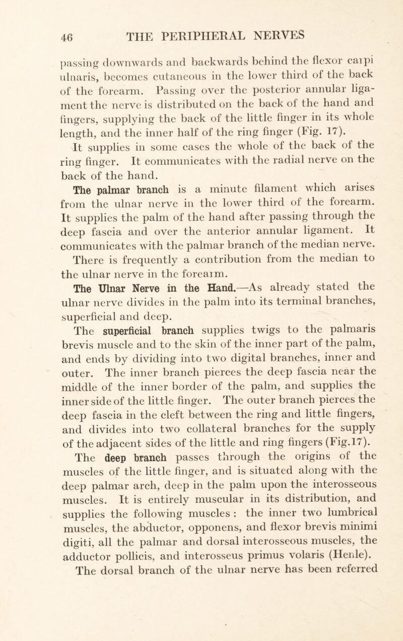 passing downwards and backwards behind the flexor carpi ulnaris, becomes cutaneous in the lower third of the back of the forearm. Passing over the posterior annular liga¬ ment the nerve is distributed on the back of the hand and fingers, supplying the back of the little finger in its whole length, and the inner half of the ring finger (big. 17). It supplies in some cases the whole of the back of the ring finger. It communicates with the radial nerve on the back of the hand. The palmar branch is a minute filament which arises from the ulnar nerve in the lower third of the forearm. It supplies the palm of the hand after passing through the deep fascia and over the anterior annular ligament. It communicates with the palmar branch of the median nerve. There is frequently a contribution from the median to the ulnar nerve in the forearm. The Ulnar Nerve in the Hand.—As already stated the ulnar nerve divides in the palm into its terminal branches, superficial and deep. The superficial branch supplies twigs to the palmaris brevis muscle and to the skin of the inner part of the palm, and ends by dividing into two digital branches, inner and outer. The inner branch pierces the deep fascia near the middle of the inner border of the palm, and supplies the inner side of the little finger. The outer branch pierces the deep fascia in the cleft between the ring and little fingers, and divides into two collateral branches for the supply of the adjacent sides of the little and ring fingers (Fig. 17). The deep branch passes through the origins of the muscles of the little finger, and is situated along with the deep palmar arch, deep in the palm upon the interosseous muscles. It is entirely muscular in its distribution, and supplies the following muscles : the inner two lumbrical muscles, the abductor, opponens, and flexor brevis minimi digiti, all the palmar and dorsal interosseous muscles, the adductor pollicis, and interosseus primus volaris (Henle). The dorsal branch of the ulnar nerve has been referred