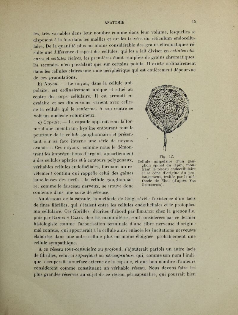 les, très variables dans leur nombre comme dans leur volume, lesquelles se disposent à la fois dans les mailles et sur les travées du réticulum endocellu- laire. De la quantité plus ou moins considérable des grains chromatiques ré¬ sulte une différence d aspect des cellules, qui les a fait diviser en cellules obs¬ cures et cellules claires, les premières étant remplies de grains chromatiques, les secondes n’en possédant que sur certains points. Il existe ordinairement dans les cellules claires une zone périphérique qui est entièrement dépourvue de ces granulations. b) Noyau. — Le noyau, dans la cellule uni¬ polaire, est ordinairement unique et situé au centre du corps cellulaire. 11 est arrondi en ovalaire et ses dimensions varient avec celles de la cellule qui le renferme. A son centre se voit un nucléole volumineux c) Capsule. — La capsule apparaît sous la for¬ me d’une membrane hyaline entourant tout le pourtour de la cellule ganglionnaire et présen¬ tant sur sa face interne une série de noyaux ovalaires. Ces noyaux, comme nous le démon¬ trent les imprégnations d’argent, appartiennent à des cellules aplaties et à contours polygonaux, véritables cellules endothéliales, formant un re¬ vêtement continu qui rappelle celui des gaines lamelleuses des nerfs : la cellule ganglionnai¬ re, comme le faisceau nerveux, se trouve donc contenue dans une sorte de séreuse. Au-dessous de la capsule, la méthode de Golgi révèle l’existence d’un lacis de fines fibrilles, qui s’étalent entre les cellules endothéliales et le protoplas¬ ma cellulaire. Ces fibrilles, décrites d'abord par Ehrlich chez la grenouille, puis par Ramon x Cajal chez les mammifères, sont considérées par ce dernier histologiste comme l’arborisation terminale d’une fibre nerveuse d’origine mal connue, qui apporterait à la cellule ainsi enlacée les incitations nerveuses élaborées dans une autre cellule plus ou moins éloignée, probablement une cellule sympathique. A ce réseau sous-capsulaire ou profond, s’ajouterait parfois un autre lacis de fibrilles, celui-ci superficiel ou péricapsulaire qui, comme son nom l’indi¬ que, occuperait la surface externe de la capsule, et que bon nombre d’auteurs considèrent comme constituant un véritable réseau. Nous devons faire les plus grandes réserves au sujet de ce réseau péricapsualire, qui pourrait bien gan- mon- Fig. 12. Cellule unipolaire d’un glion spinal du lapin, trant le réseau emdocellulaire et le cône d’origine du pro¬ longement, traitée par la mé¬ thode de Nissl (d’après Van Gehuchten) .